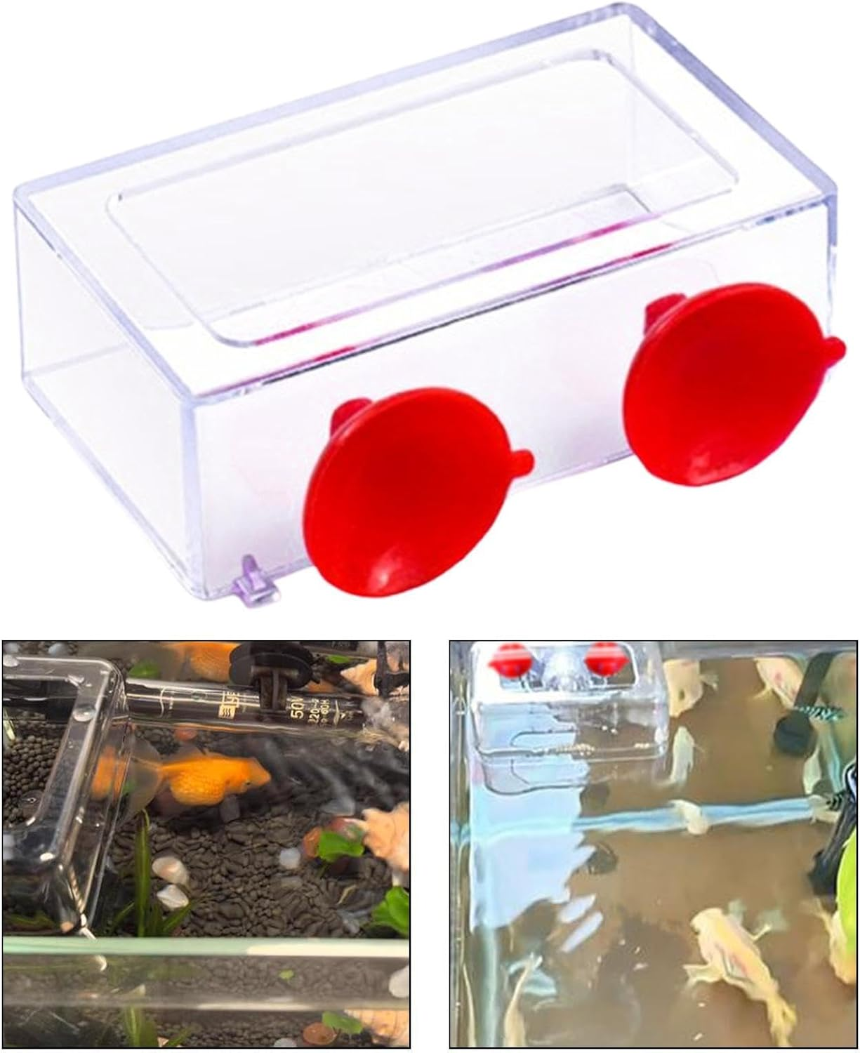 B Baosity Fish Feeding Ring Aquatic Turtle Aquarium Accessories,Turtle Feeding Ring Float Food Feeder, S