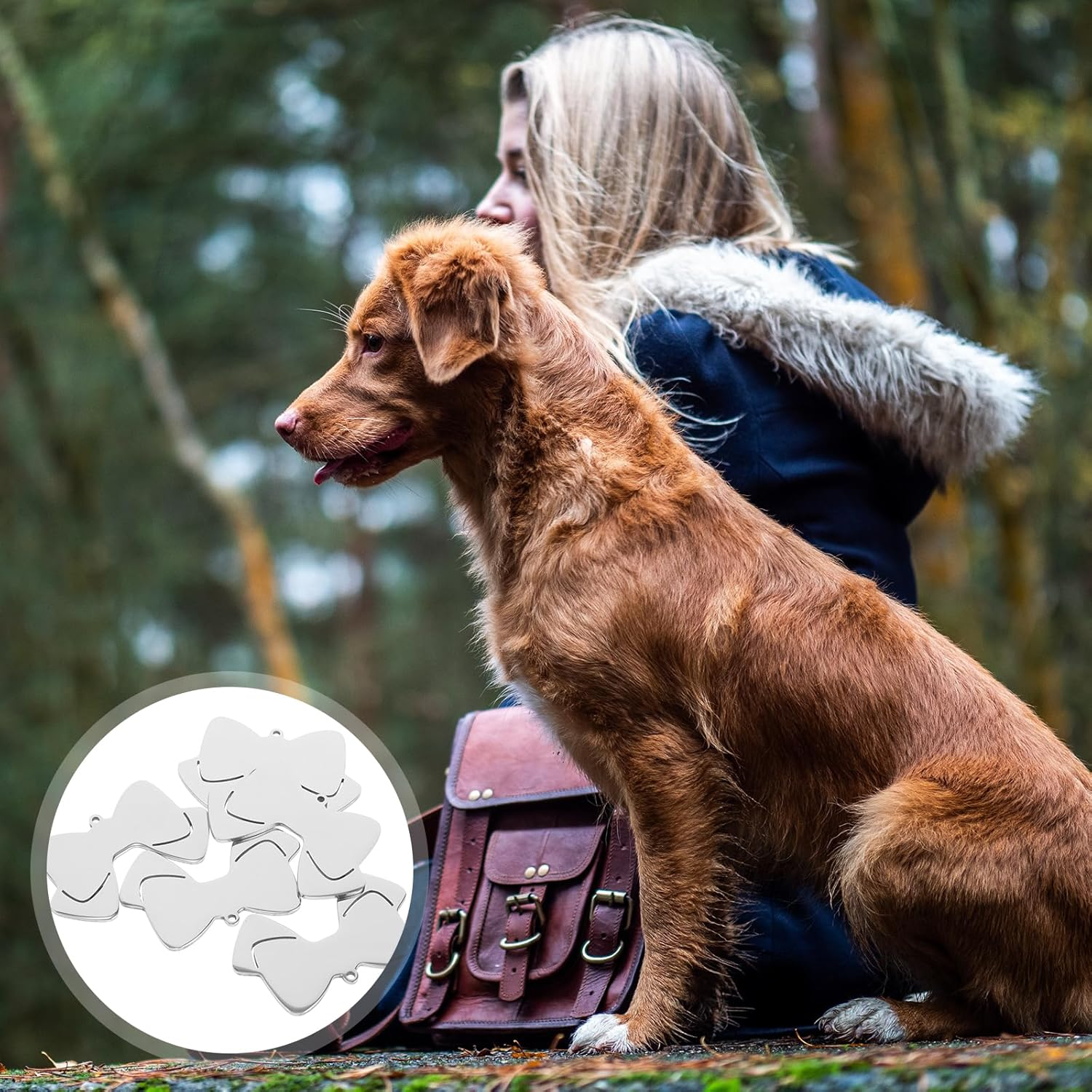 LUOZZY 10Pcs Dog ID Tags Bow Shape Dog Name Tags Puppy Stainless Steel Name Tags Pet Accessories - Silver