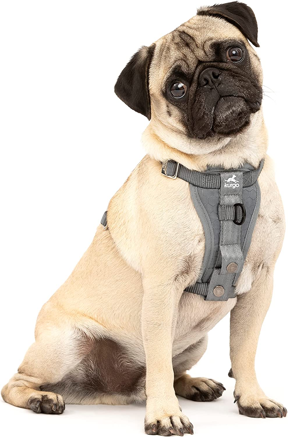 Kurgo Tru-Fit Enhanced Strength Dog Harness - Crash Tested Car Safety Harness for Dogs, No Pull Dog Harness, Includes Pet Safety Seat Belt, Steel Nesting Buckles (Charcoal, X-Small)