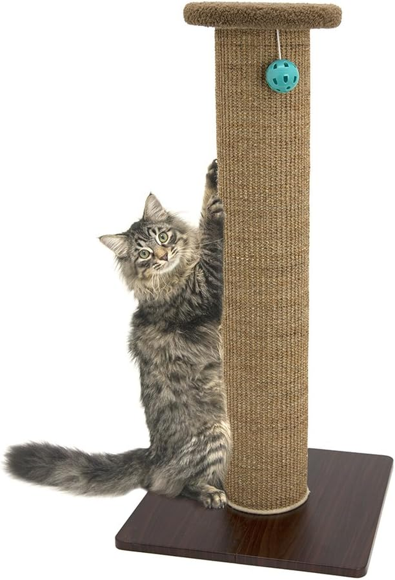 Kitty City Premium 32 Inch Tall Woven Sisal Carpet Cat Scratching Post, Cat Scratching Furniture, Cat Post, 15.8 X 15.8 X 32 Inches, Model Number: CM-0262-CS01 image number 5