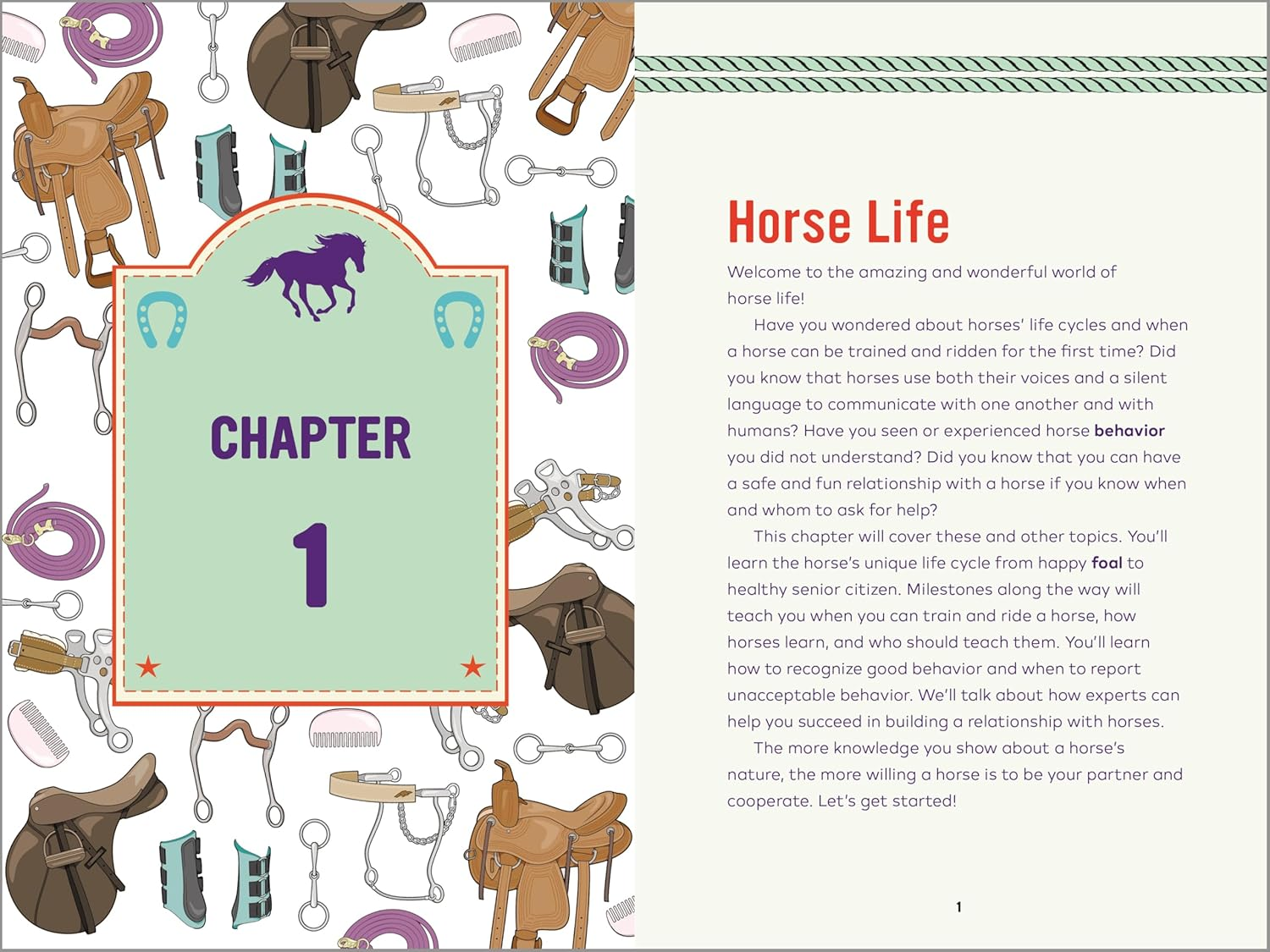 Horse Life: the Ultimate Guide to Caring for and Riding Horses for Kids image number 6