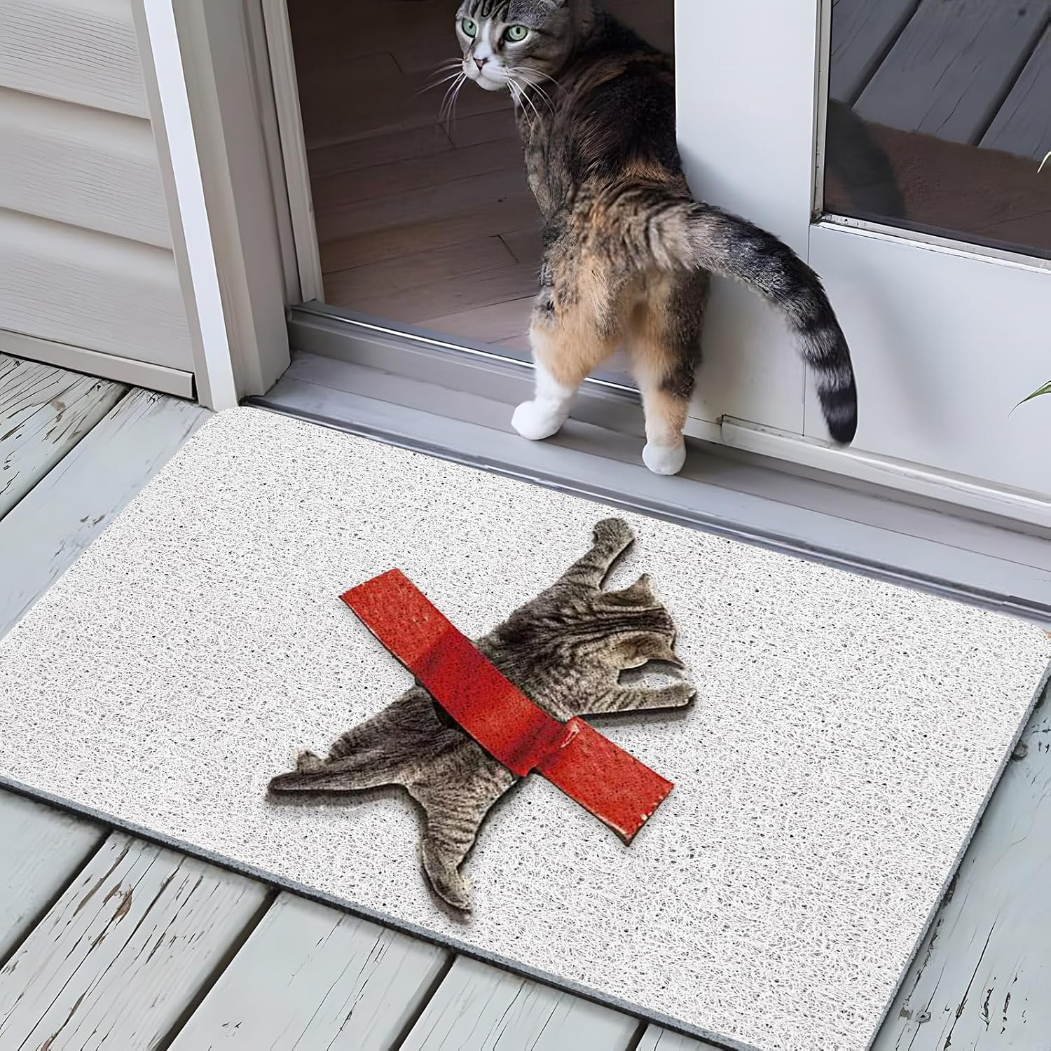 Cat Front Door Mat outside Entrance Non Slip Welcome Mats Outdoor Doormat Funny with Rubber Backing Easy to Clean Indoor Mats High Traffic Areas Entry image number 5