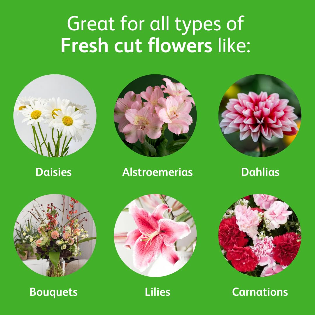 Chrysal Cut Flower Universal Food (10 Ml/L Bottle) &mdash; Increase the Flower Boost with Floral Supplies for Fresh Flowers &mdash; Flower Arrangements Supplies &mdash; Ideal Florist Supplies &mdash; Flower Food image number 6