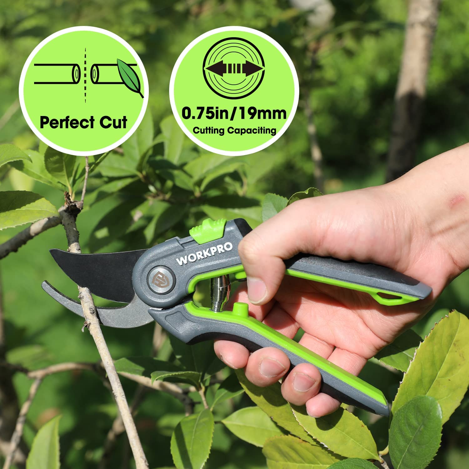 WORKPRO Bypass Pruning Shears, Stainless Steel Gardening Hand Pruner, Professional Garden Trimming Scissors with Sharp SK5 Steel Blades, Ideal Garden Tool,Green 203Mm Length image number 6