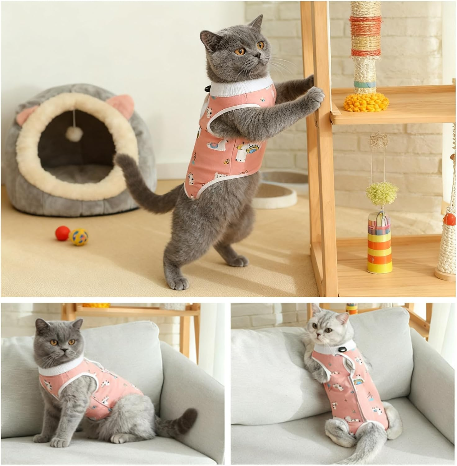 MUU Cat Recovery Suit, 2 Pack, Alternative to Surgical Shirt Collar, Breathable Onesie for Female Cats after Castu Surgery, Recovery Suit, Female Abdominal Wounds, Size M (2-4