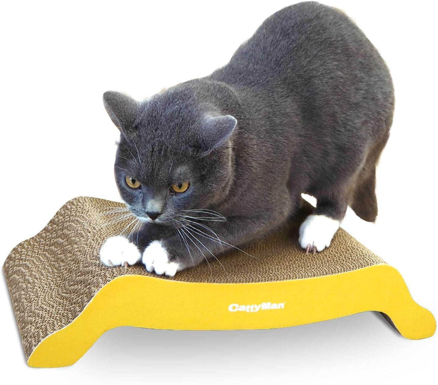 Catty Man Irotogi Cat Claws Brush image number 5