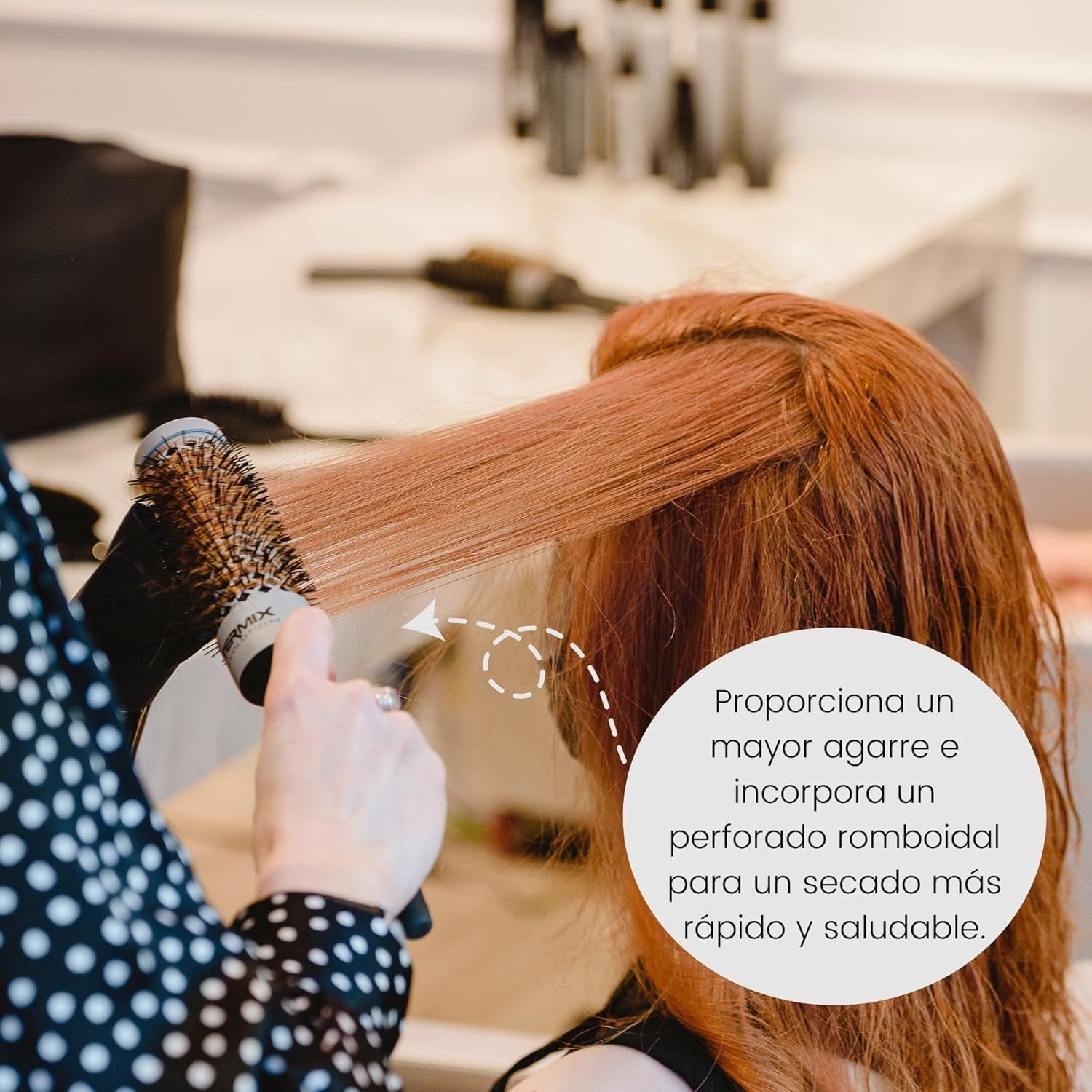 Termix Basic Evolution Brush, 1 Count image number 1