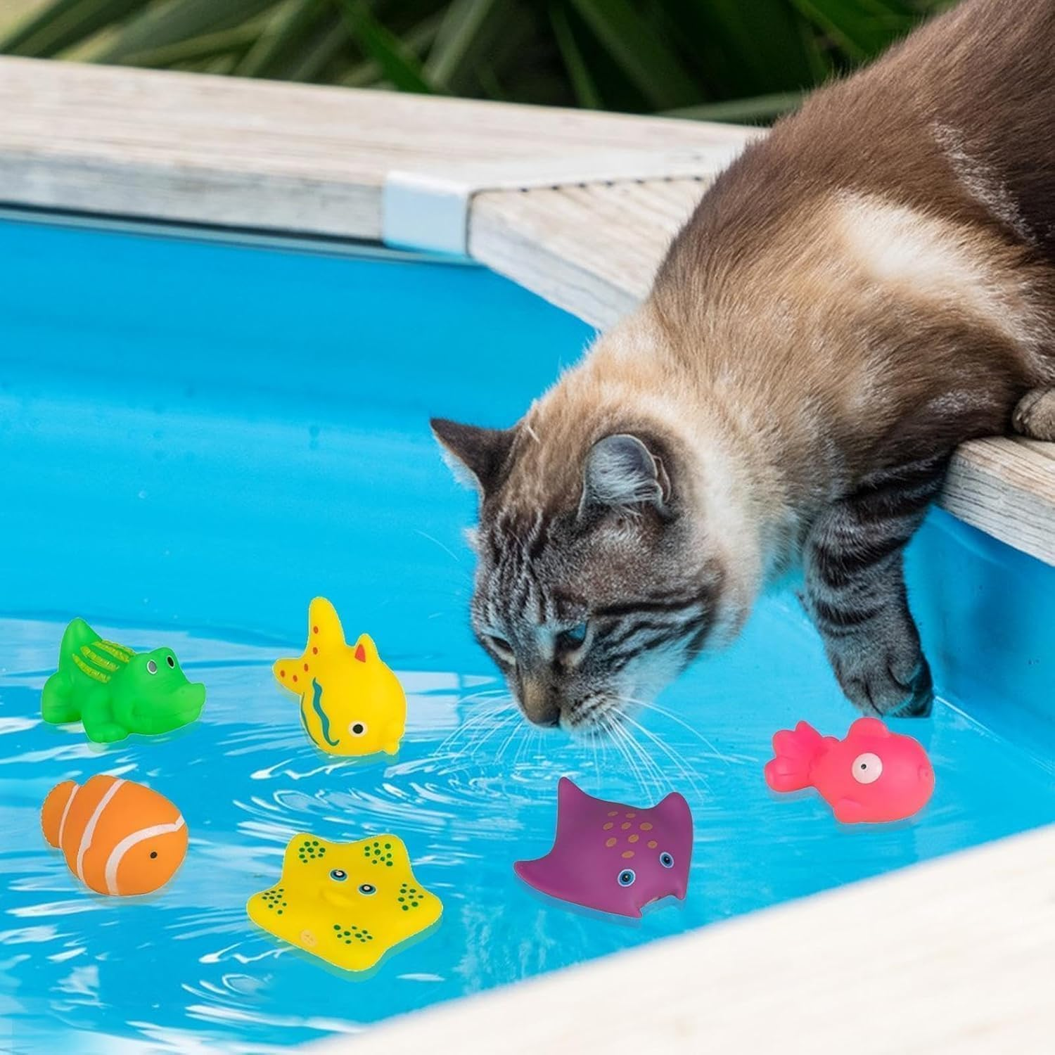 Clockjuan 6Pcs Colorful Pool Cat Interactive Toy, Cat Floating Water Toy, Pet Kitten Swimming Bathing Fish Toy, Sensory Toys for Indoor Cats to Self Play image number 1
