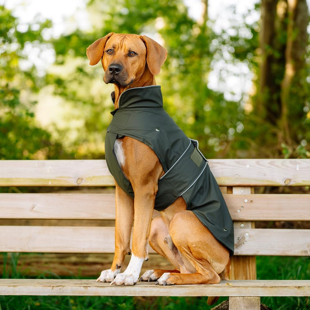 Nobby Sela Dog Coat 32 Cm Dark Green