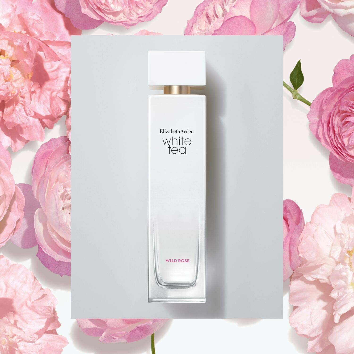 Elizabeth Arden LE White Tea Wild Rose Eau De Toilette Spray for Women 30 Ml image number 3