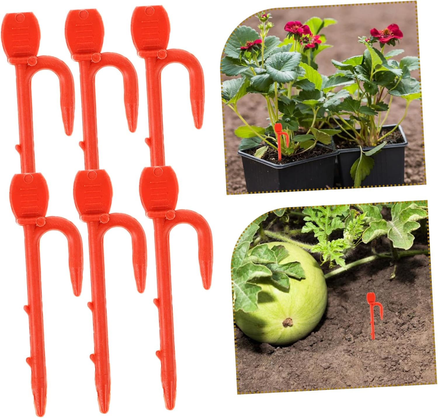 CIMAXIC 1Bag Stolon Fastening Clip Gardening Vine Clip Plant Fixing Supply Strawberry Seedling Fork Fastening Vines Clamp Gardening Plant Fixing image number 5