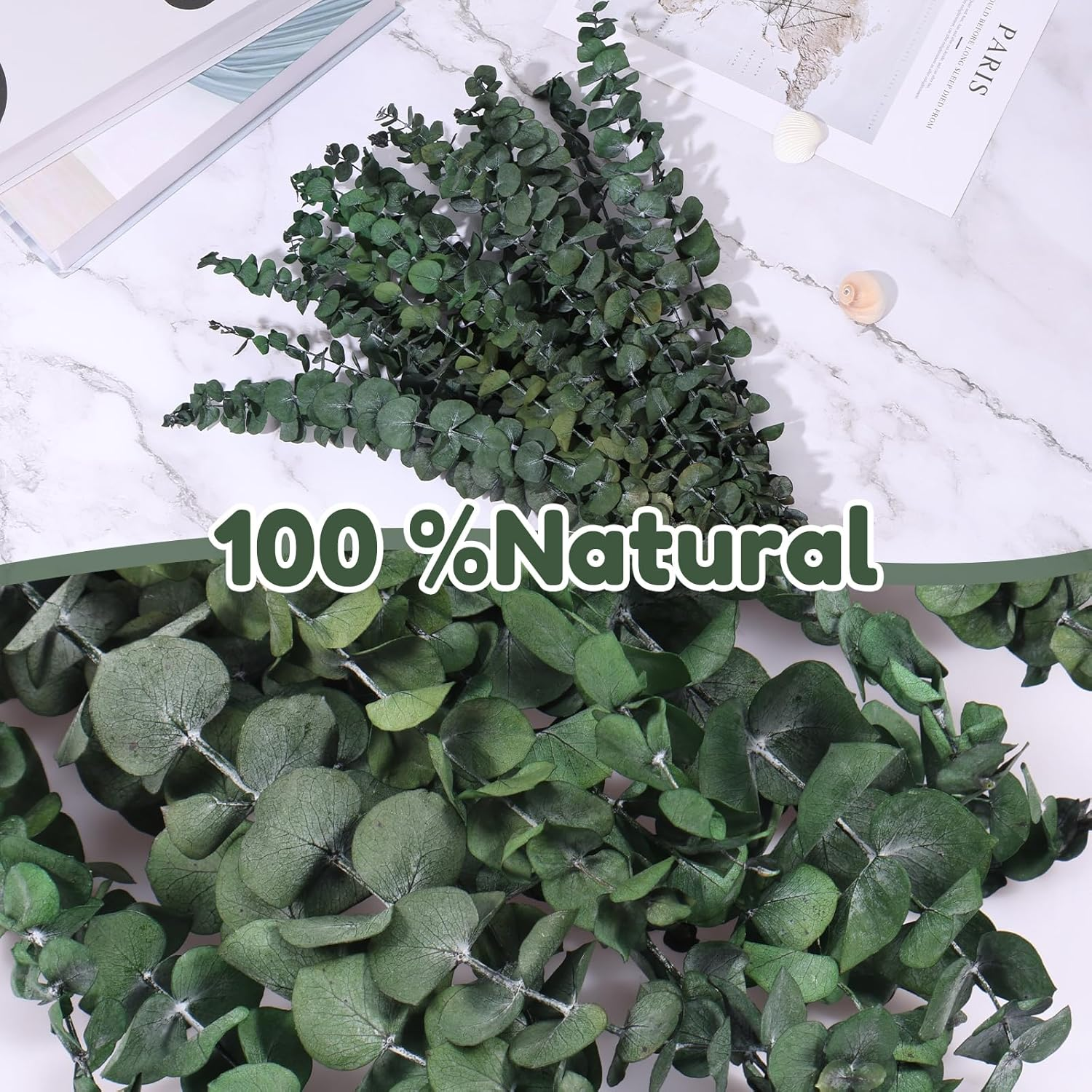 20/10Pcs Dried Eucalyptus Bundle for Shower Hanging Eucalyptus Lavender Bouquet Natural Preserved Eucalyptus Leaves Fragrance Bouquet Hanging Decoration for Bathroom Wedding (Style 1) image number 5
