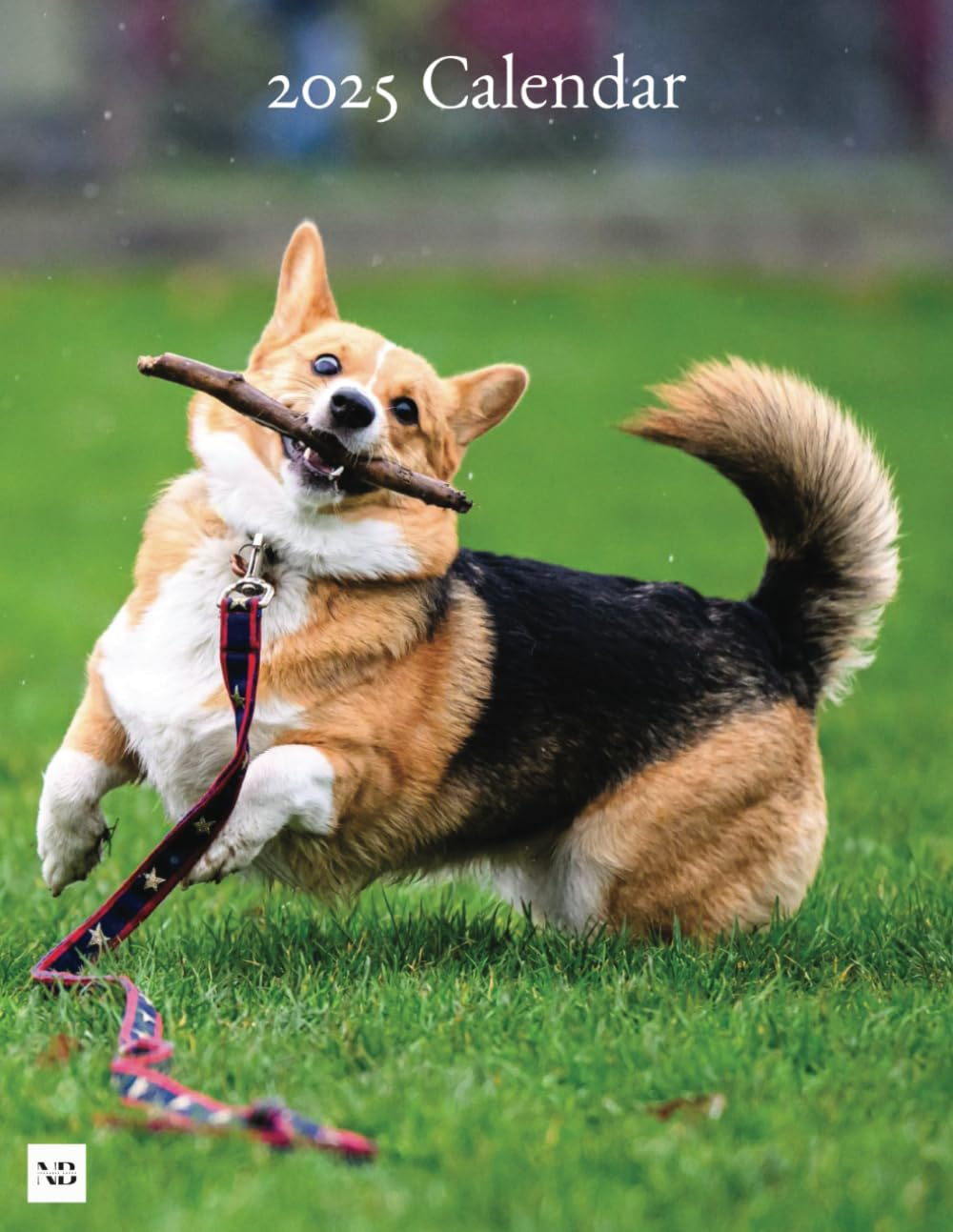 2025 Calendar: Corgi