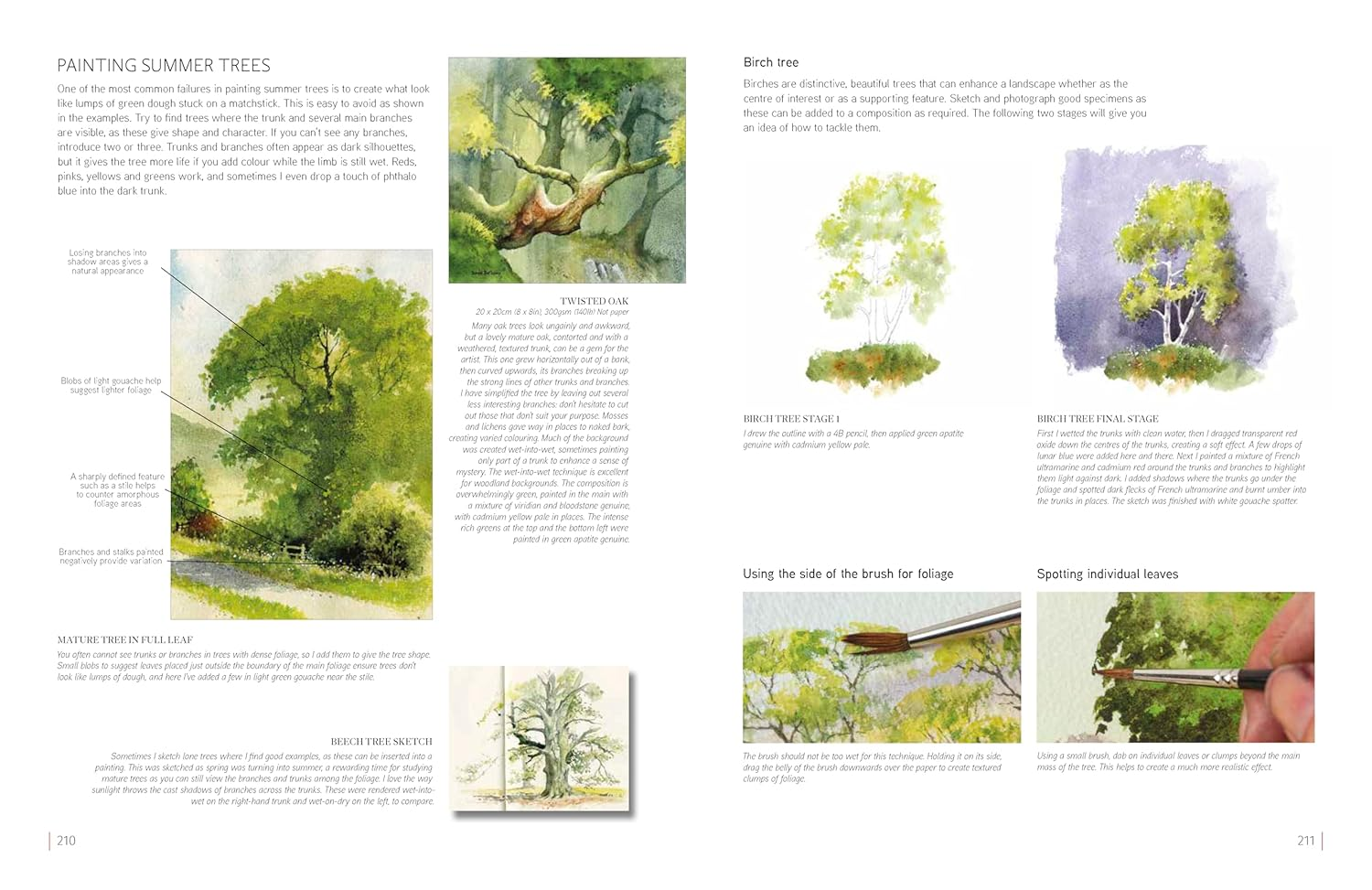 David Bellamy'S Complete Guide to Landscapes: Painting the Natural World in Watercolour image number 4