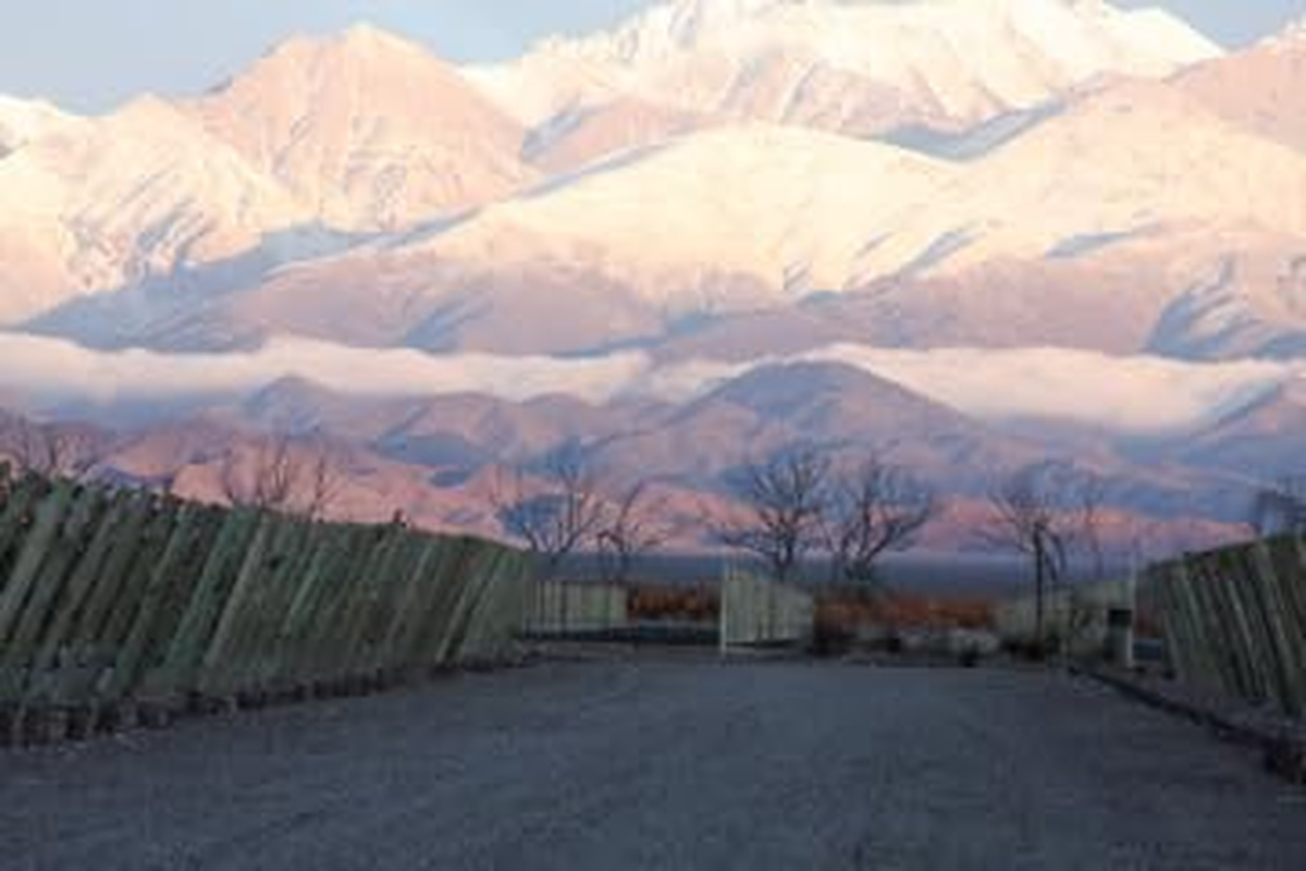 2016 Aluvi&oacute;n Vineyards Malbec Wine "Forjado" from the Uco Valley, Mendoza, Argentina image number 3