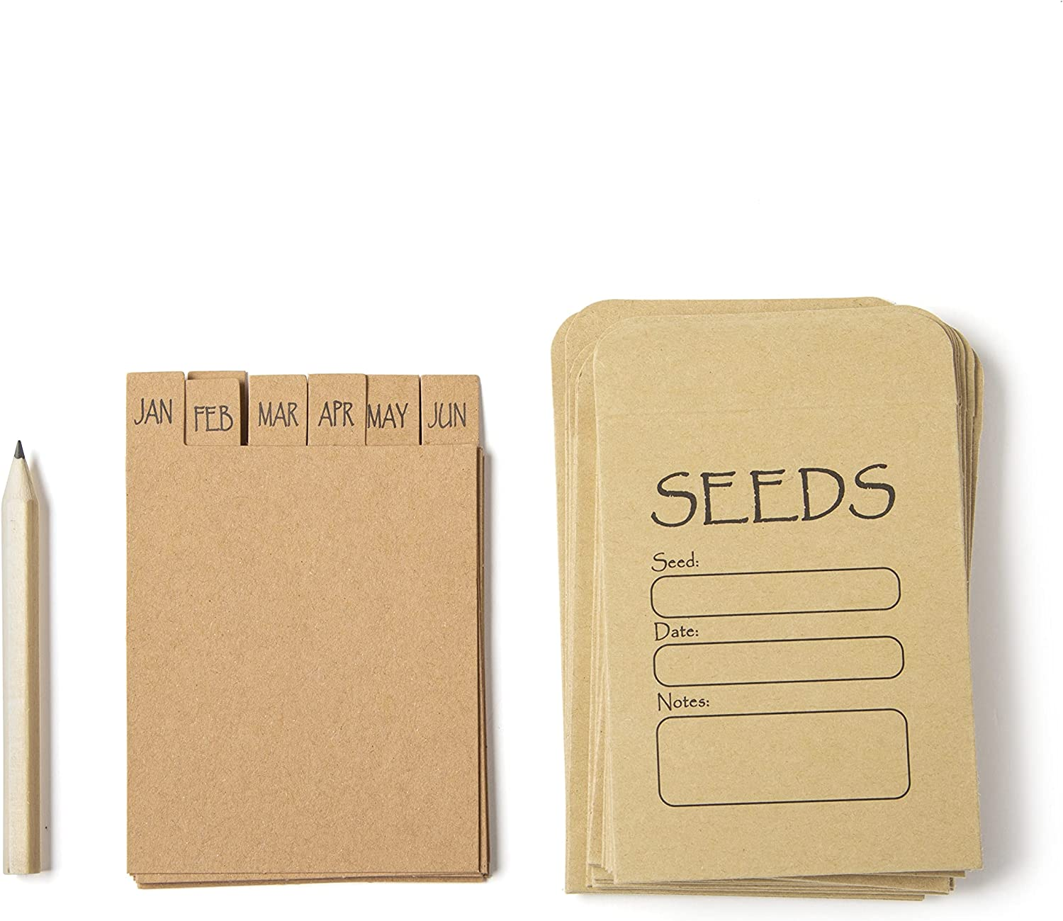 Katai Seed Storage Box &ndash; Durable Metal Seed Organizer Storage Box for Gardeners, Complete Seed Packet Storage Box with Lid, Monthly Dividers, 20 Envelopes & Pencil, Compact Seed Saver, Floral