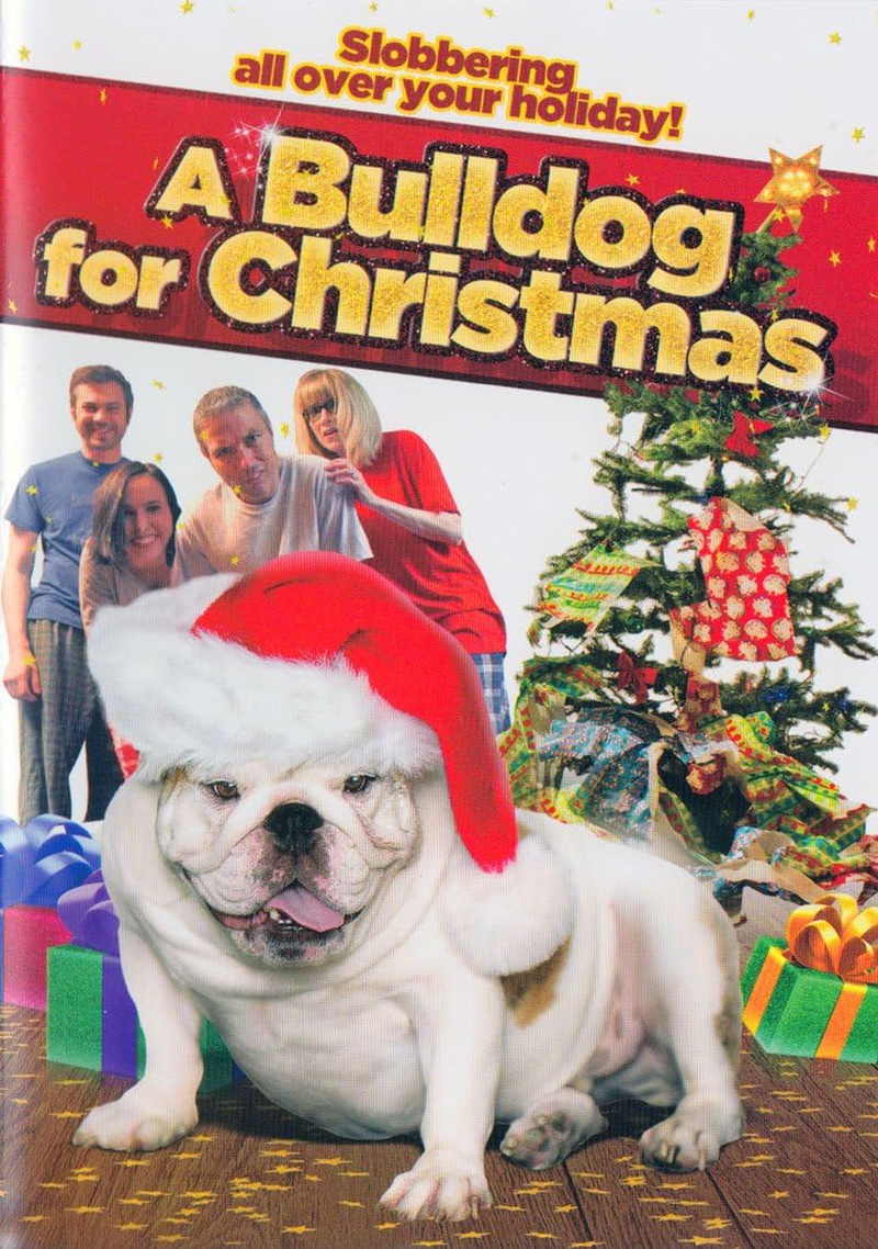 A Bulldog for Christmas