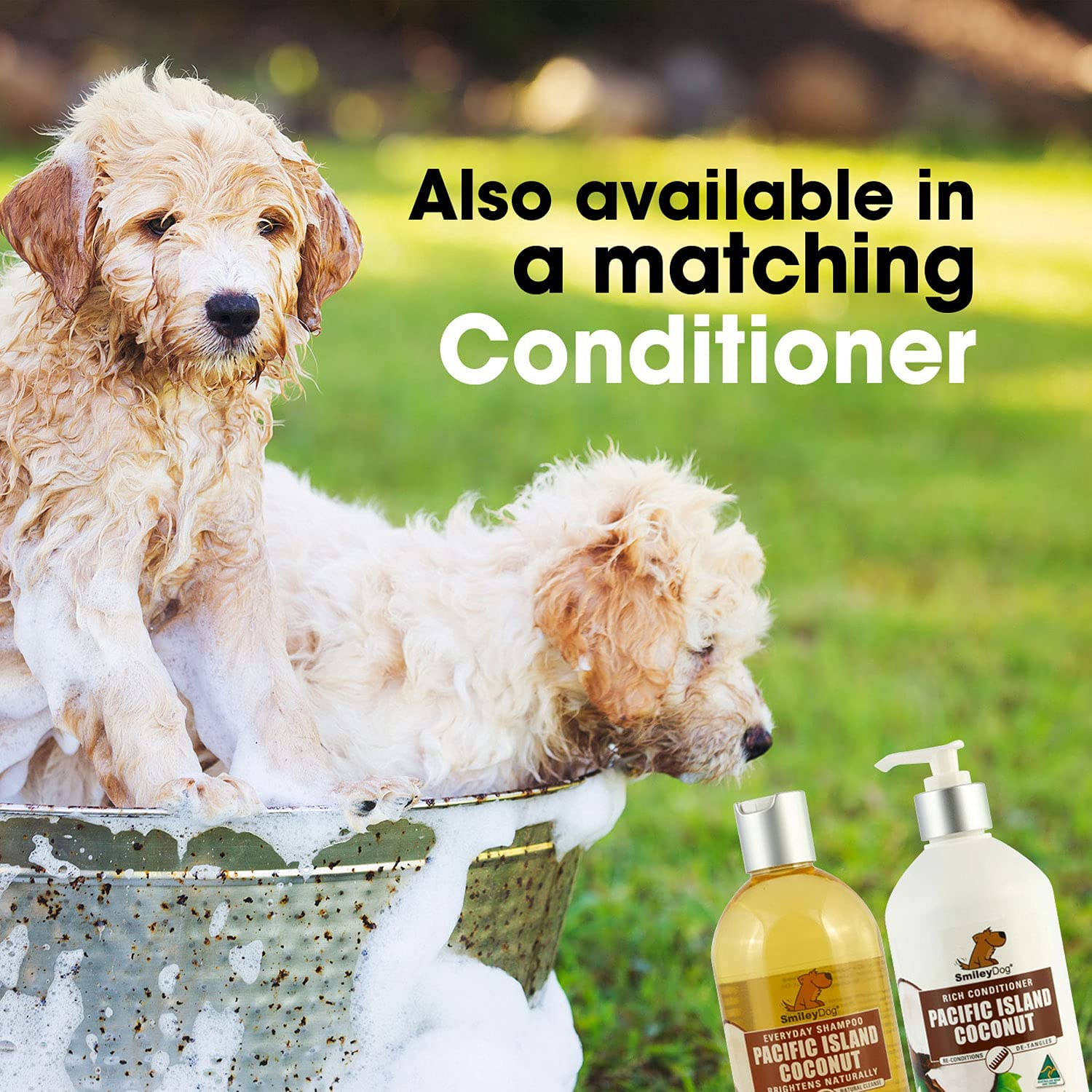 Natural Pacific Island Coconut Shampoo, 500 Ml, Clear image number 1