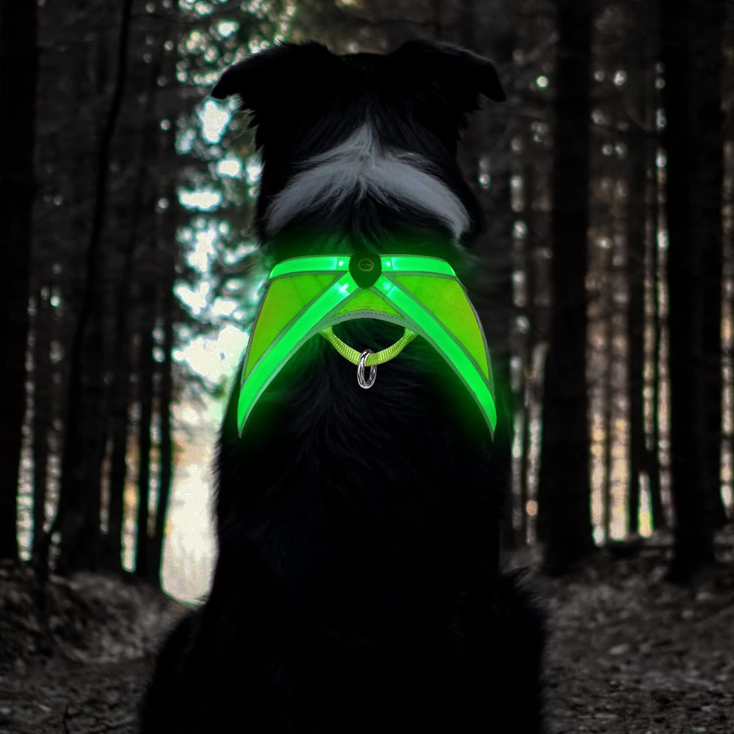 Tripolaco Light up Dog Harness, High Visibility Led Dog Harness for Night Safety, USB Rechargeable Glowing Dog Harness for Night Walking, Flashing Dog Harness for Small Medium Large Dogs (Green, L) image number 2