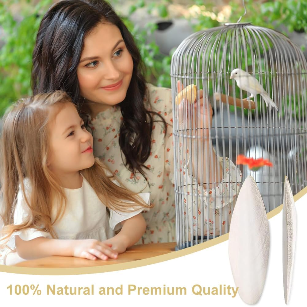 Natural Cuttlefish Bone 8 Pieces for Birds, Parrots and Turtles &ndash; Toys image number 6