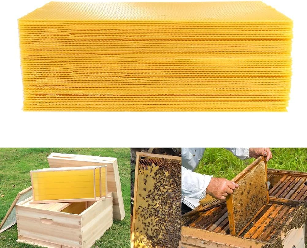 30Pcs Bee Hive Foundation Sheets, Deep Beeswax Foundation Sheets for Bee Frames Beekeeping Tool 41.5X19.5Cm image number 2