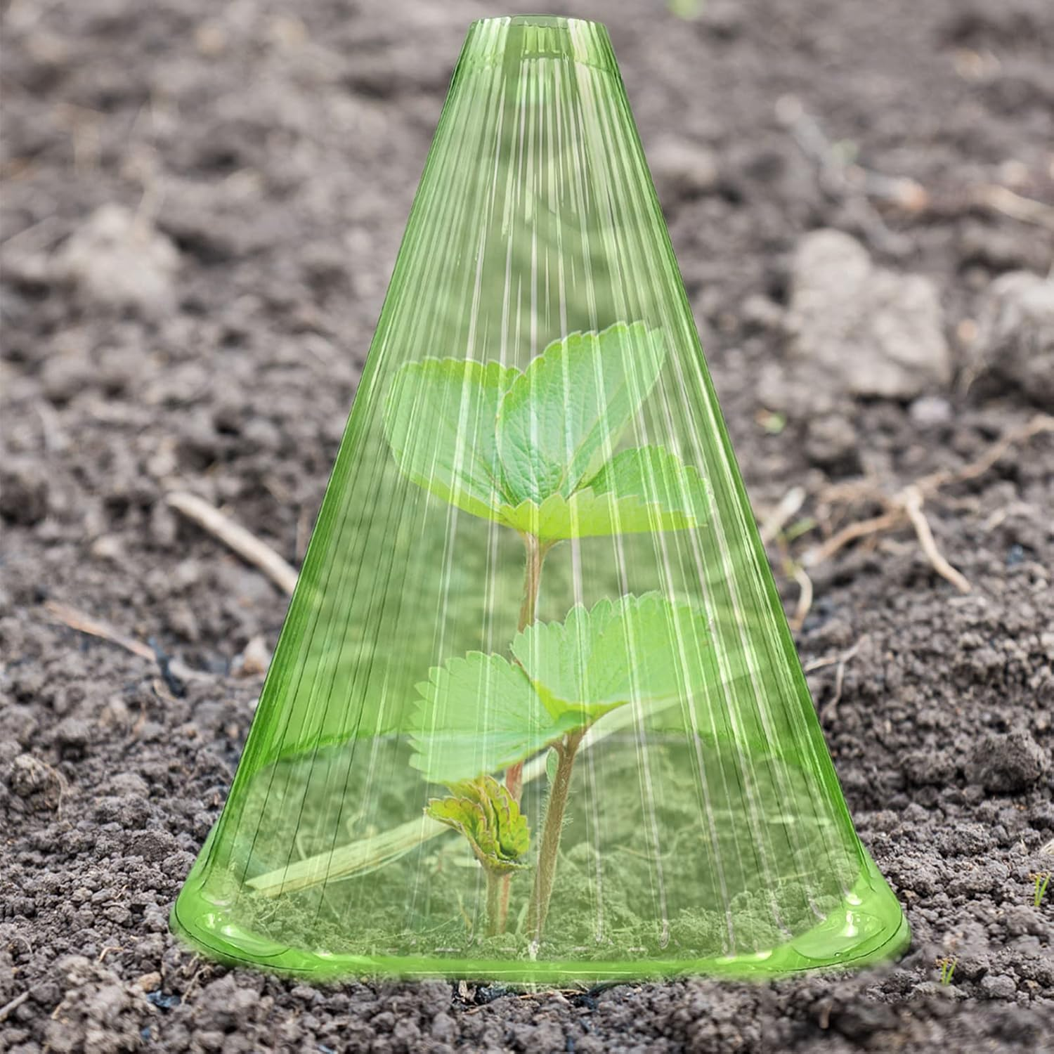 Foxtell 30 Pack Garden Cloches for Plants, 7.7" D X 8.7" H Reusable Plant Bell Cover,Protects Plants from Birds, Frost image number 3