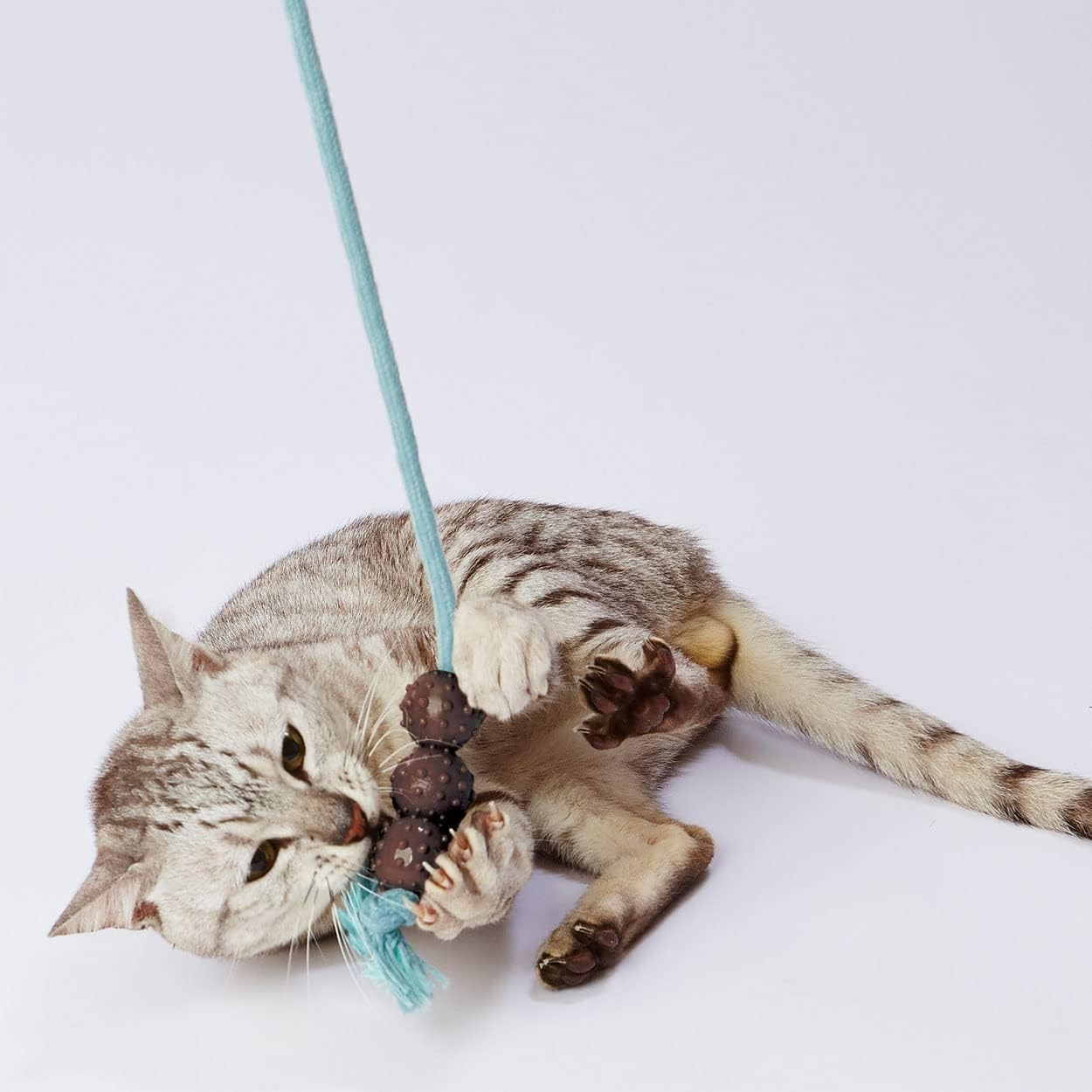 Petio Ethical Door Cat Toy Natural Earth Toy with Rubber Ball and Rope Set