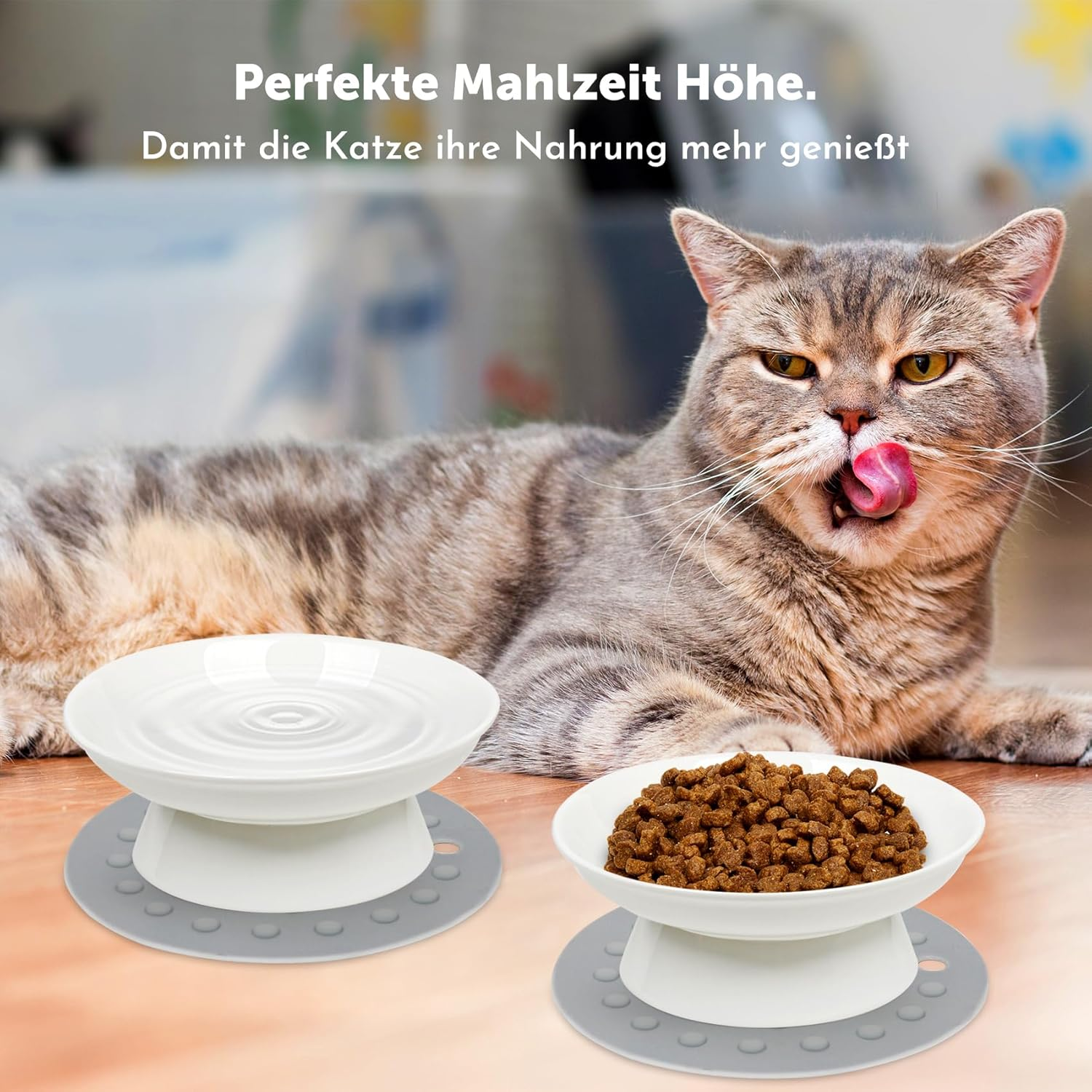 Cat Bowl, Pack of 2 Ceramic Feeding Bowls, Raised Cervical Protection, Cat Bowl, Feeding Bowl, Cat Raised Feeding Bowls, Cats for Cats with Water, Dry Food, Wet Food image number 4