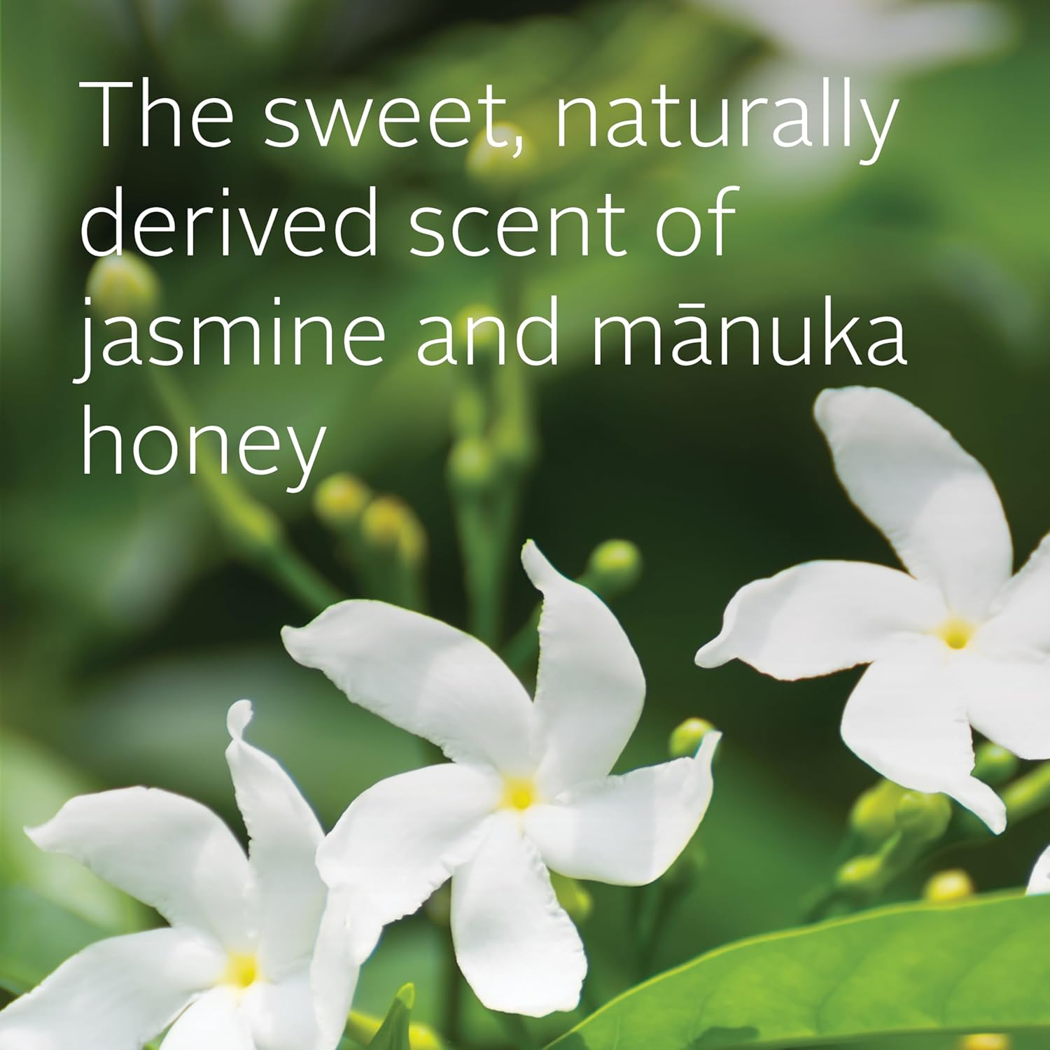 Ecostore Jasmine & Manuka Honey Body Wash 900Ml X3 Pump Gently Cleanses and Nourishes, Skin Ph-Balanced, Plant & Mineral-Based, Natural Fragrance, for All Skin Types, Large Size