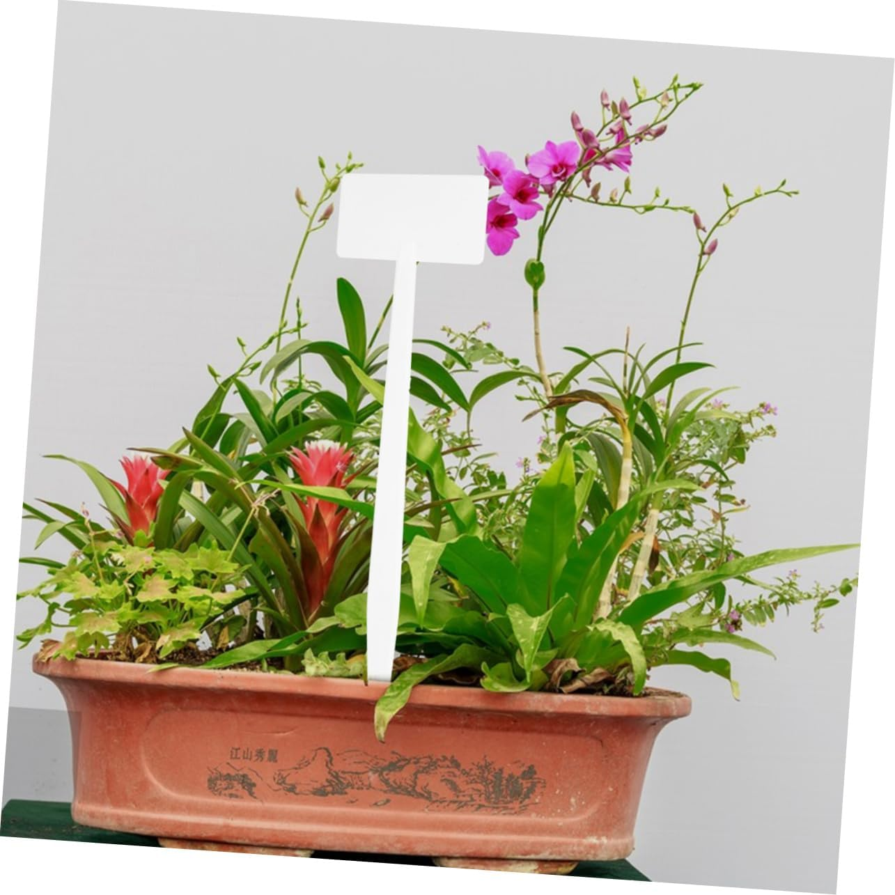 10Pcs Plastic Plant Labels for Garden Decor Plant Tags Markers Name Tags Fun Garden Signage