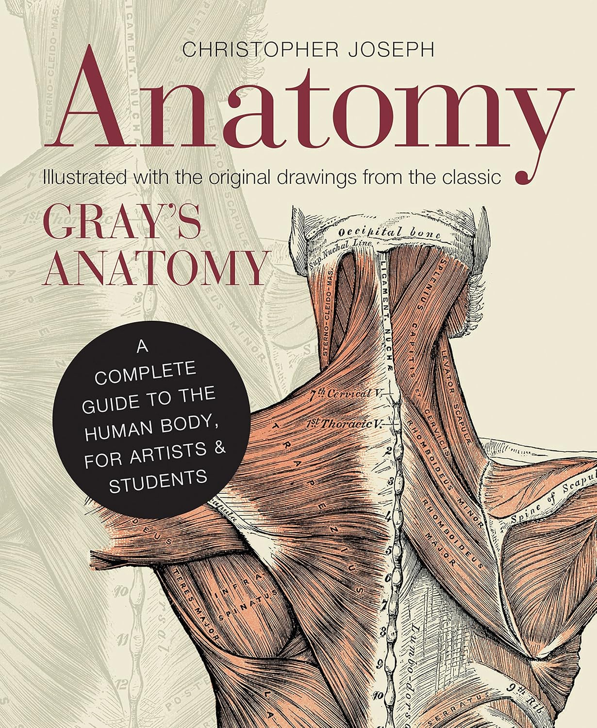 Anatomy: a Complete Guide to the Human Body, for Artists & Students