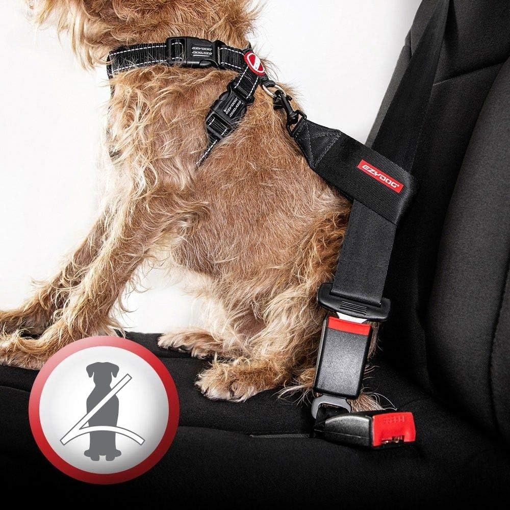Ezydog Chest Plate Dog Harness - with Free Car Restraint - Best No Pull Harnesses for Small, Medium and Large Dogs - Custom Fit,Reflective, Easy Fit (L, Black)