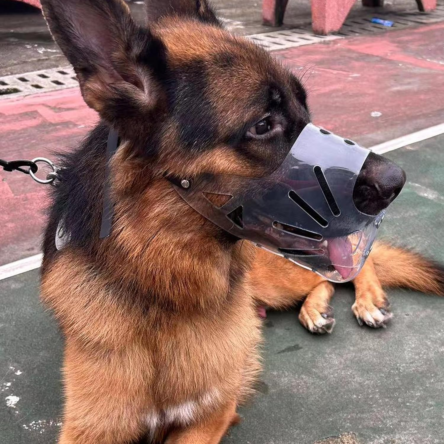 Muzzle for Dogs, Transparent PVC for Large Dogs, Dogs Can Panting, Eating and Drinking, Prevents Biting and Browsing Wild Animals, Comfortable, Breathable (L) image number 2