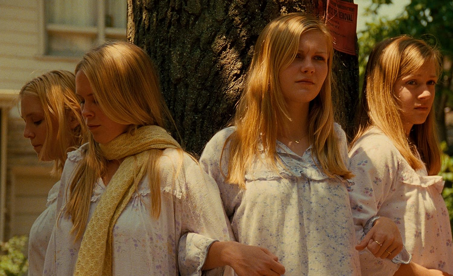 The Virgin Suicides (The Criterion Collection) [Blu-Ray]