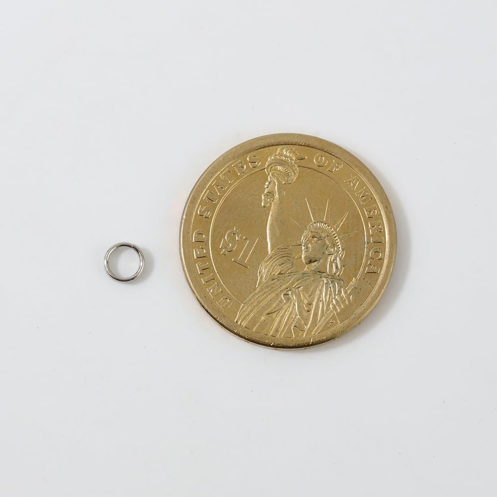 30PCS 5Mm Small Stainless Steel Split Rings, Double Loop Jump Rings Metal round Craft Findings for Key Chains Jewelry Making (5Mm, Steel Color) image number 1