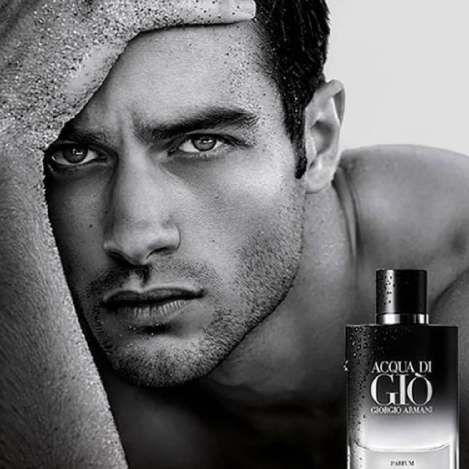 Giorgio Armani Acqua Di Gio Parfum 40Ml image number 3