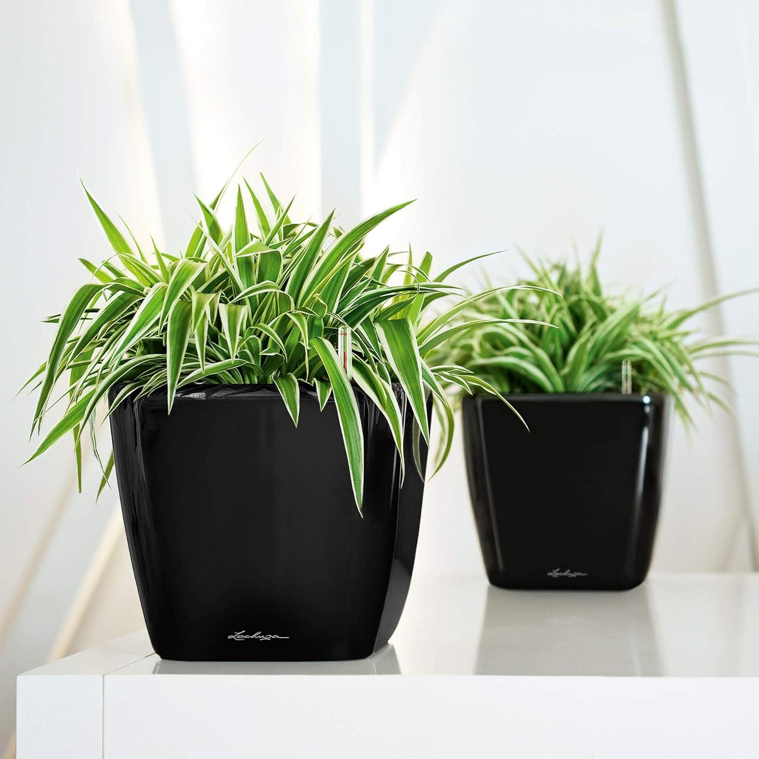 Lechuza Self Watering Plant Pot Quadro LS 21 Garden Flower Indoor and Outdoor Plastic Small Planter with Drainage Hole H20 L21 W21 Cm Black High-Gloss image number 5