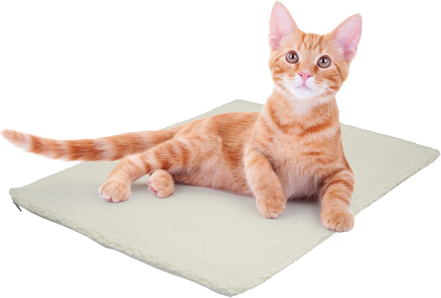 Fur & Bone Heated Cat Bed, Self Heating Cat Mat | Cat Heat Pad, Pet Mat, Heat Pad, Cat Mat with Removable Cover, Self-Warming Thermal Pad | Heated Blanket, Cat Blankets for Indoor Cats, Pet Blanket