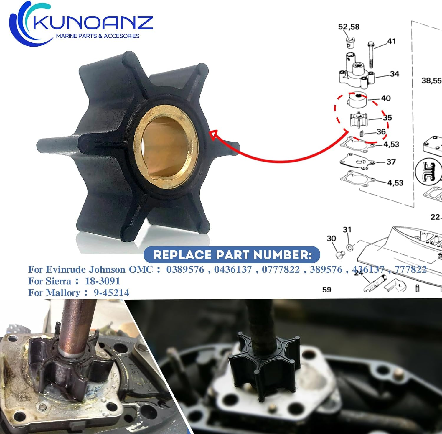 389576 436137 Water Pump Impeller for Evinrude Johnson 8/7.5/6/5/4.5/4 HP 2/4 Stroke Outboard Sierra 18-3091 0389576 0436137 0777822 4HP 4.5HP 5HP 6HP 7.5HP 8HP image number 3