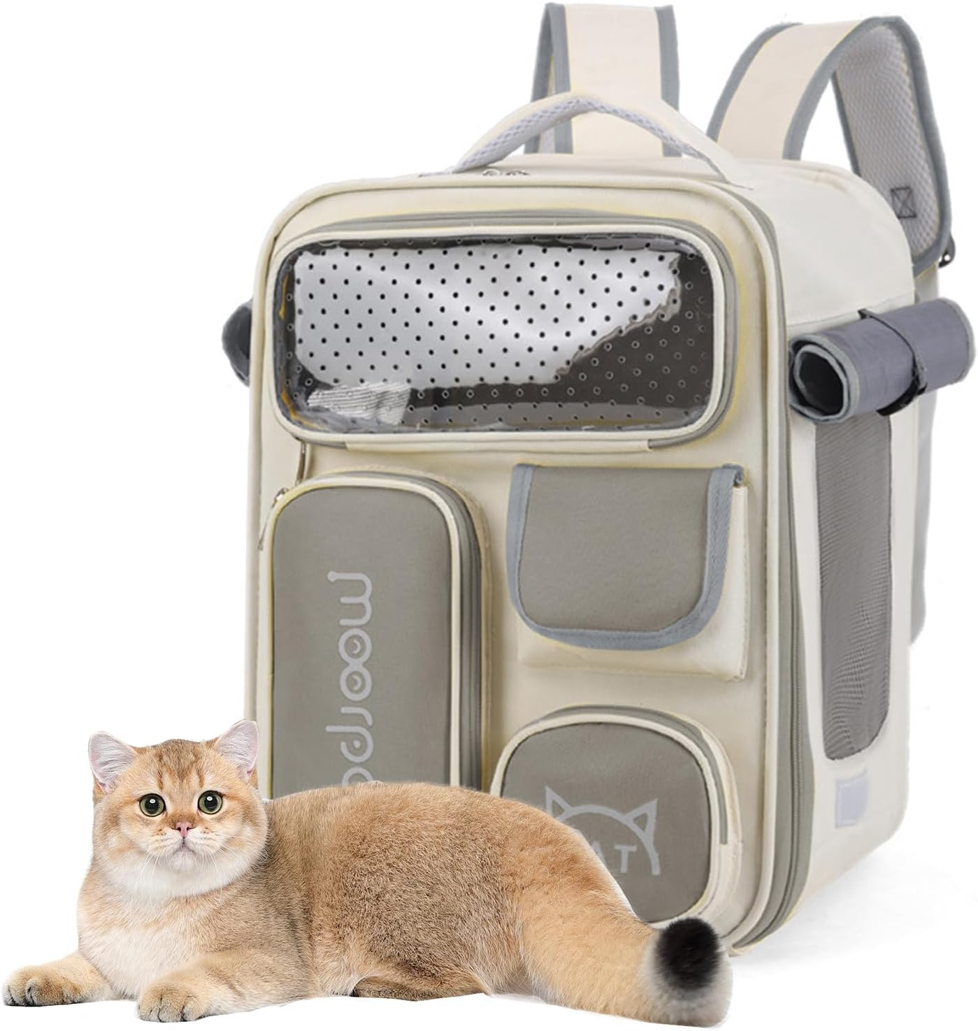 PETCUTE Cat Backpack, Space Capsule Pet Backpack for Small Cats and Dogs, Foldable Dog Carrier Backpack with Inner Safety Lead, Breathable Dog Backpack with Removable Mat
