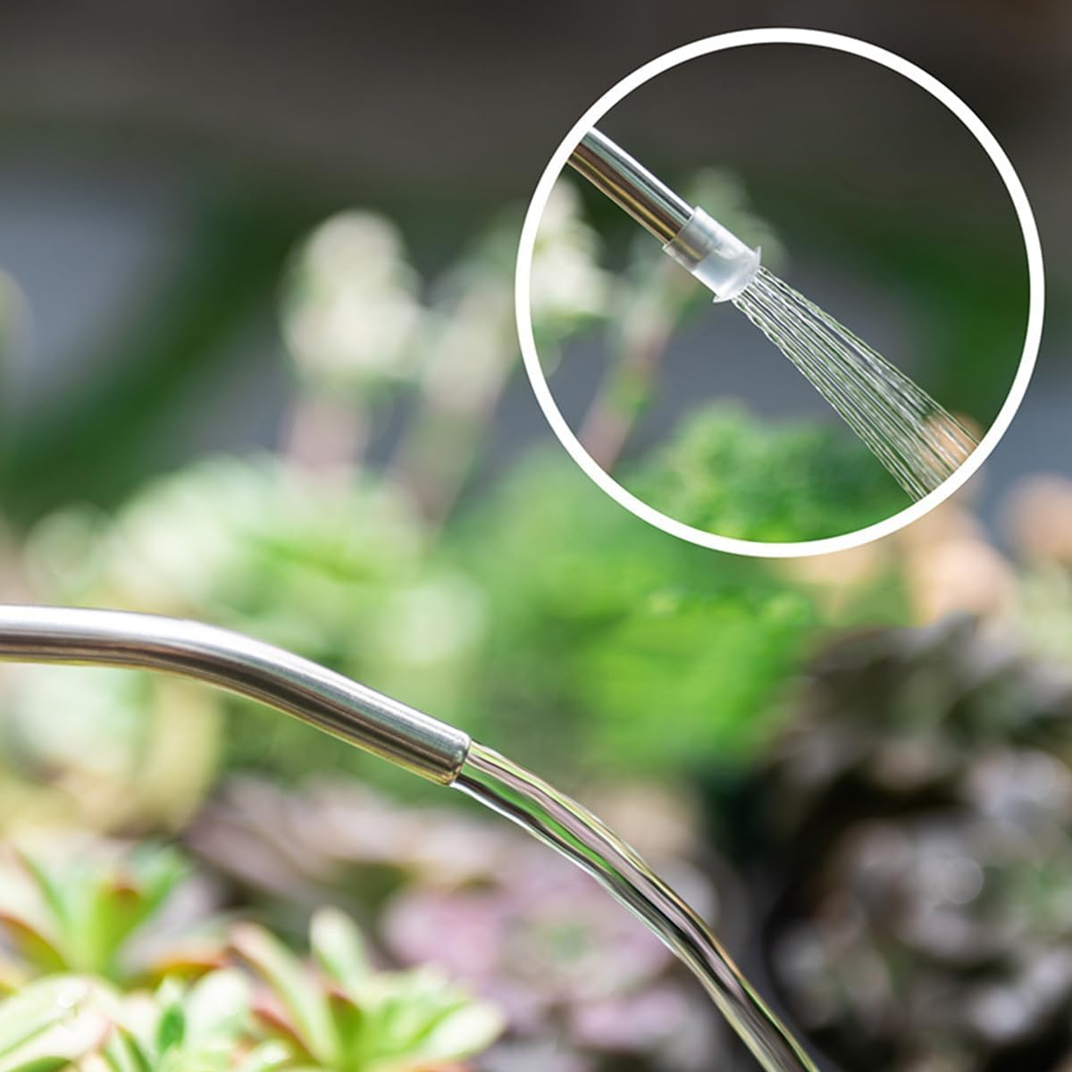 AIMALL 1.5L Long Spout Plastic Watering Can for Indoor Plants, Succulents and Bonsai &ndash; Transparent/Grey/Green, 7.4In Tall Slim Kettle for Garden & Home Use - Green image number 5