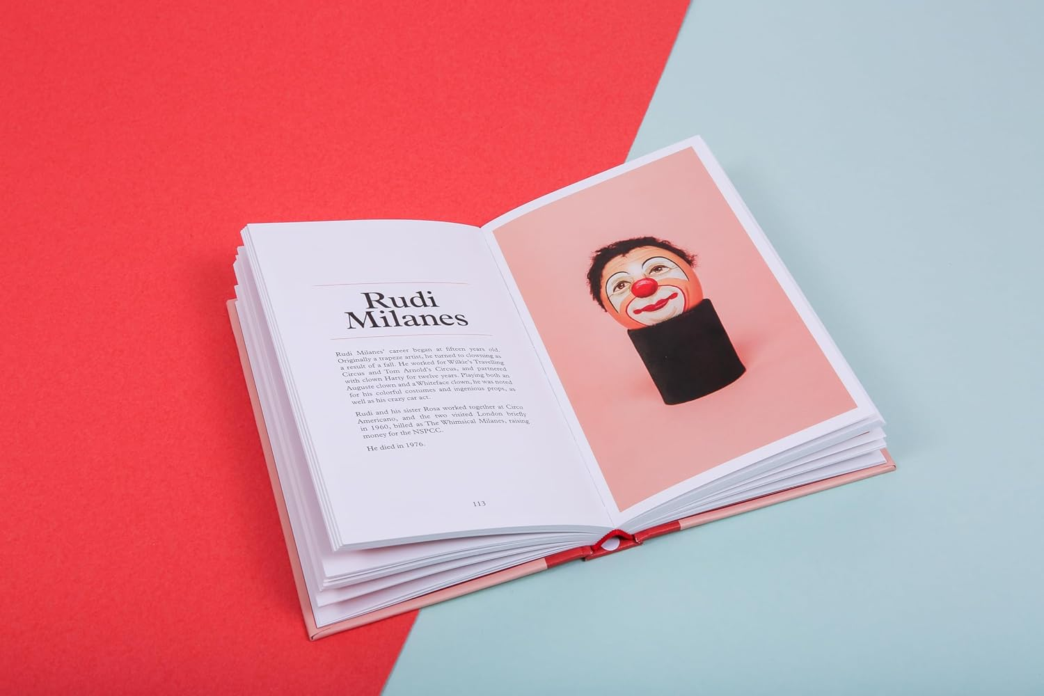 The Clown Egg Register: (Funny Book, Book about Clowns, Quirky Books) image number 2