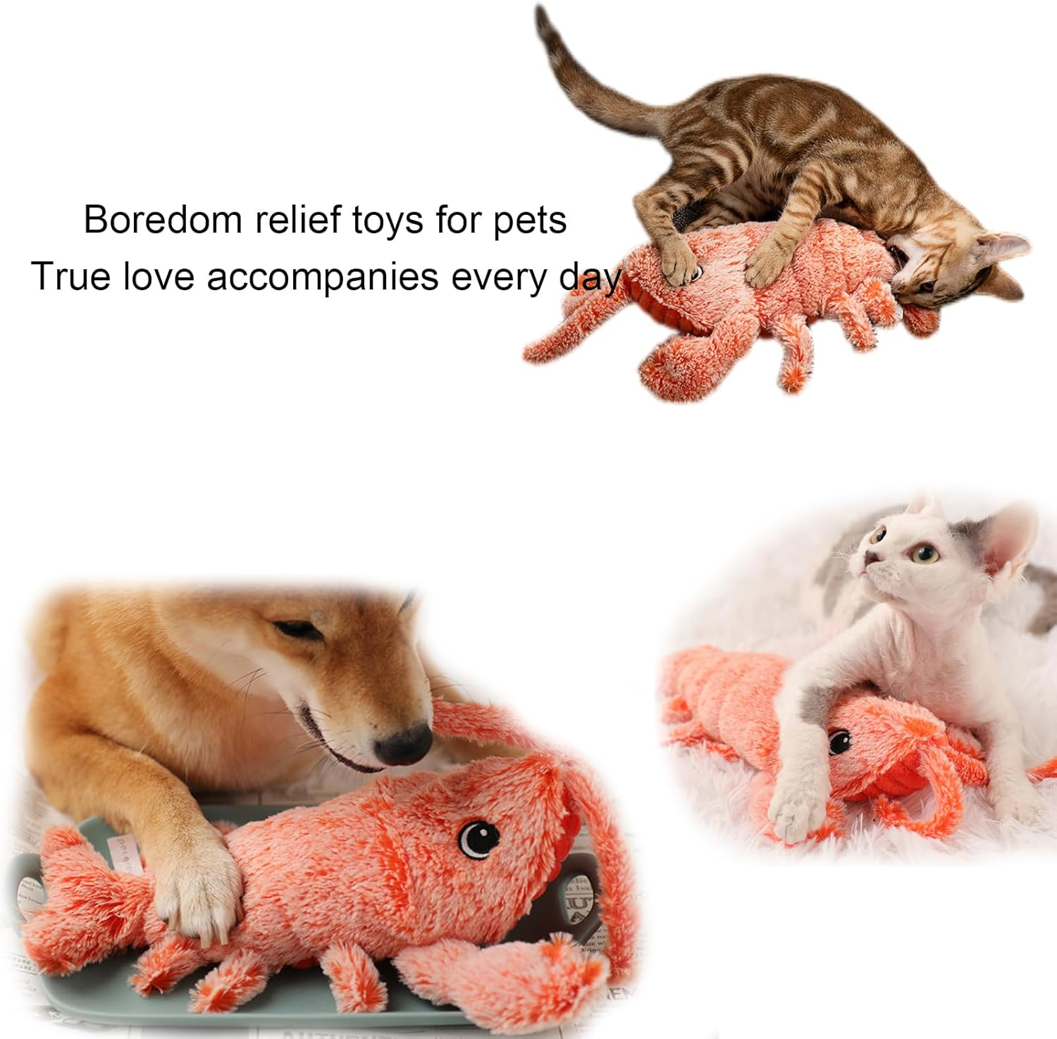 ANXINGJU NEPHEW Flopping Lobster Toy,Usb Rechargeable Washable Wiggle Lobster Toy Includes 2 Packs of Catnip for Cats up to 15 Lbs image number 1