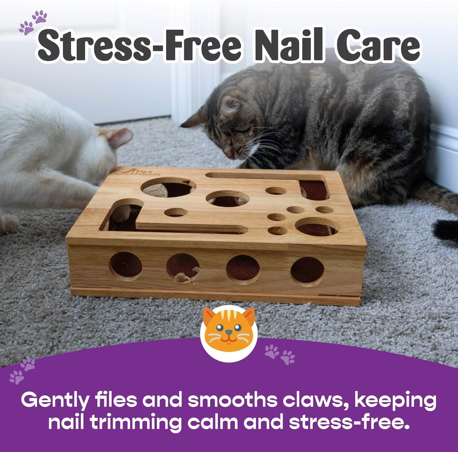 Fig & Friends Cat Scratch Puzzle Enrichment Box: Nail File Stress Free Alternative to Clippers and Grinders image number 2