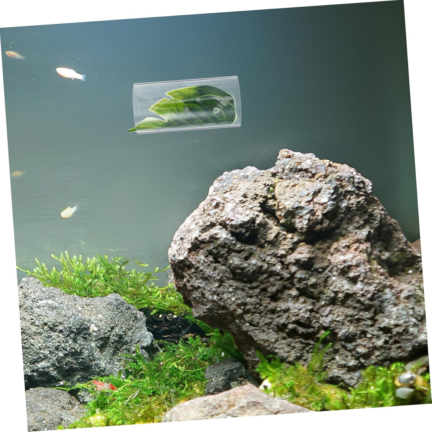 JUMPLAWN Betta Fish Tank Cave Multipurpose Aquarium Rock Cave for Freshwater Pets image number 4