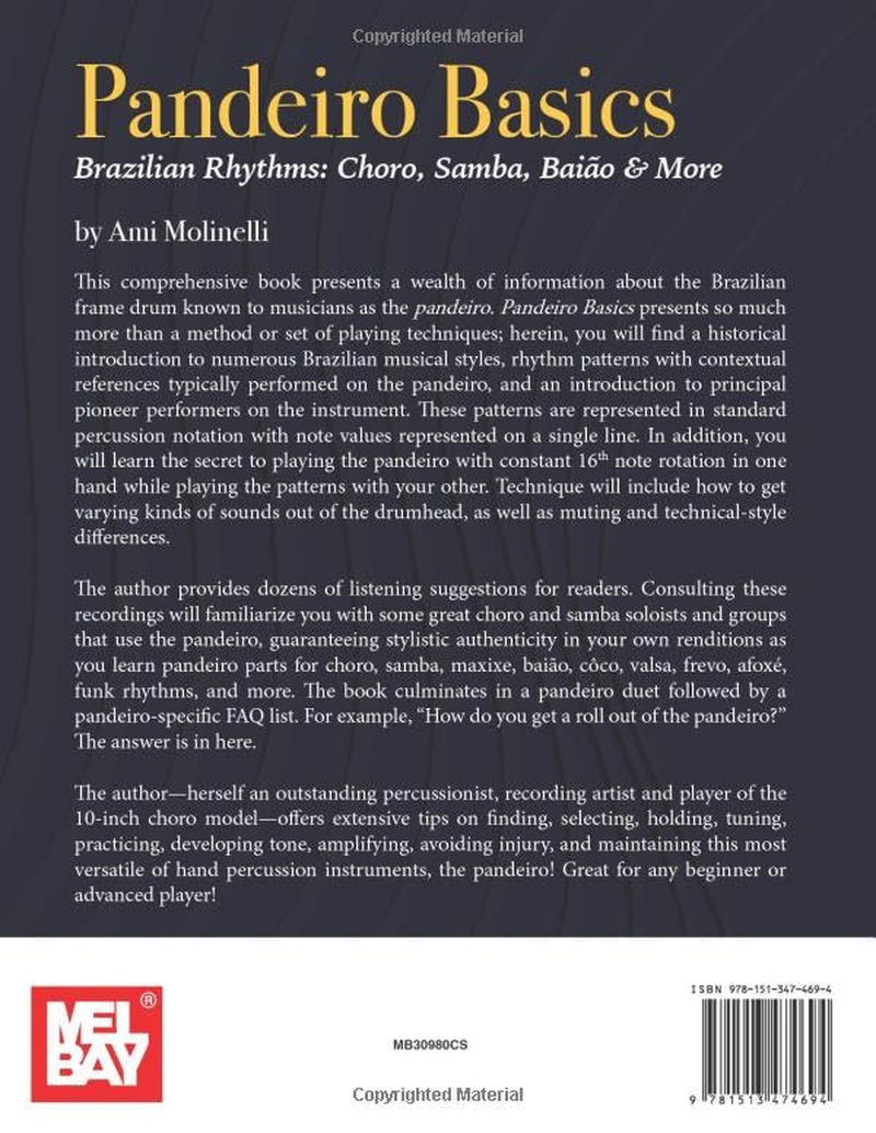 Pandeiro Basics: Brazilian Rhythms: Choro, Samba, Baiao & More image number 1