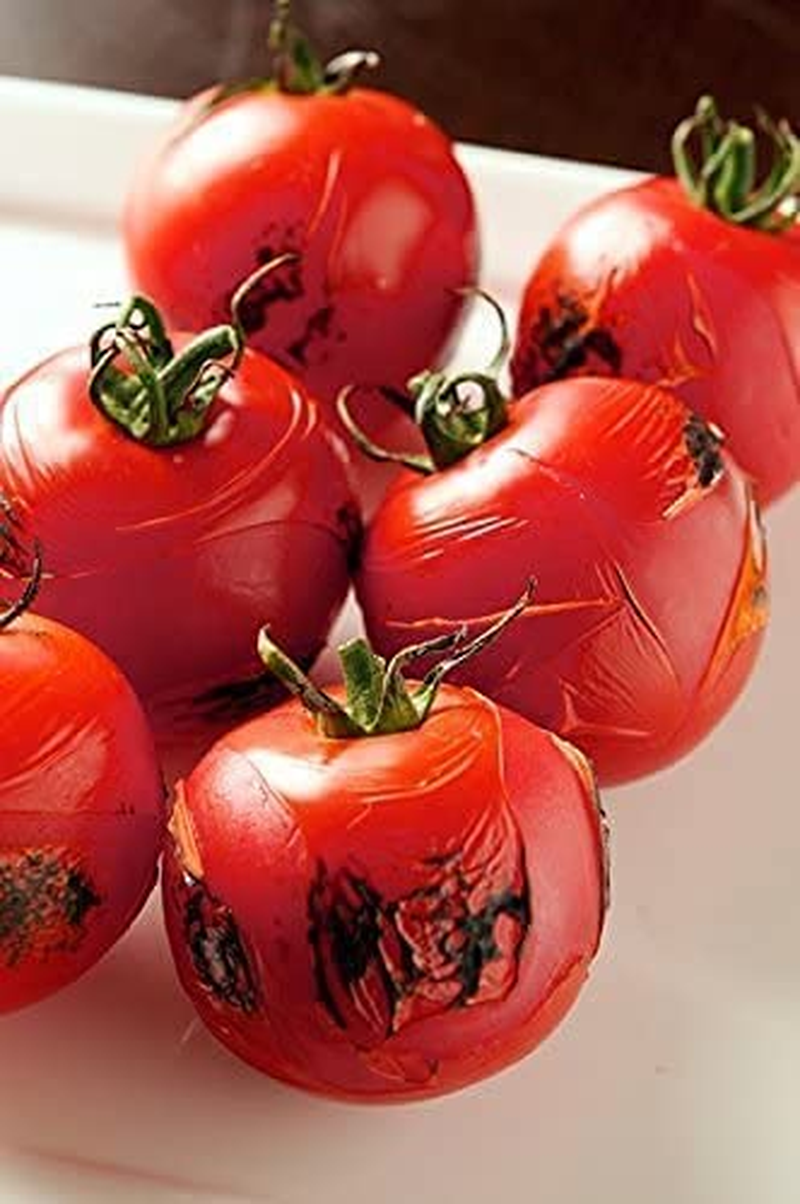 Iwatani PRO2 Culinary Butane Torch for Sous Vide Cr?Me Brulee Pastries Camping and so Much More