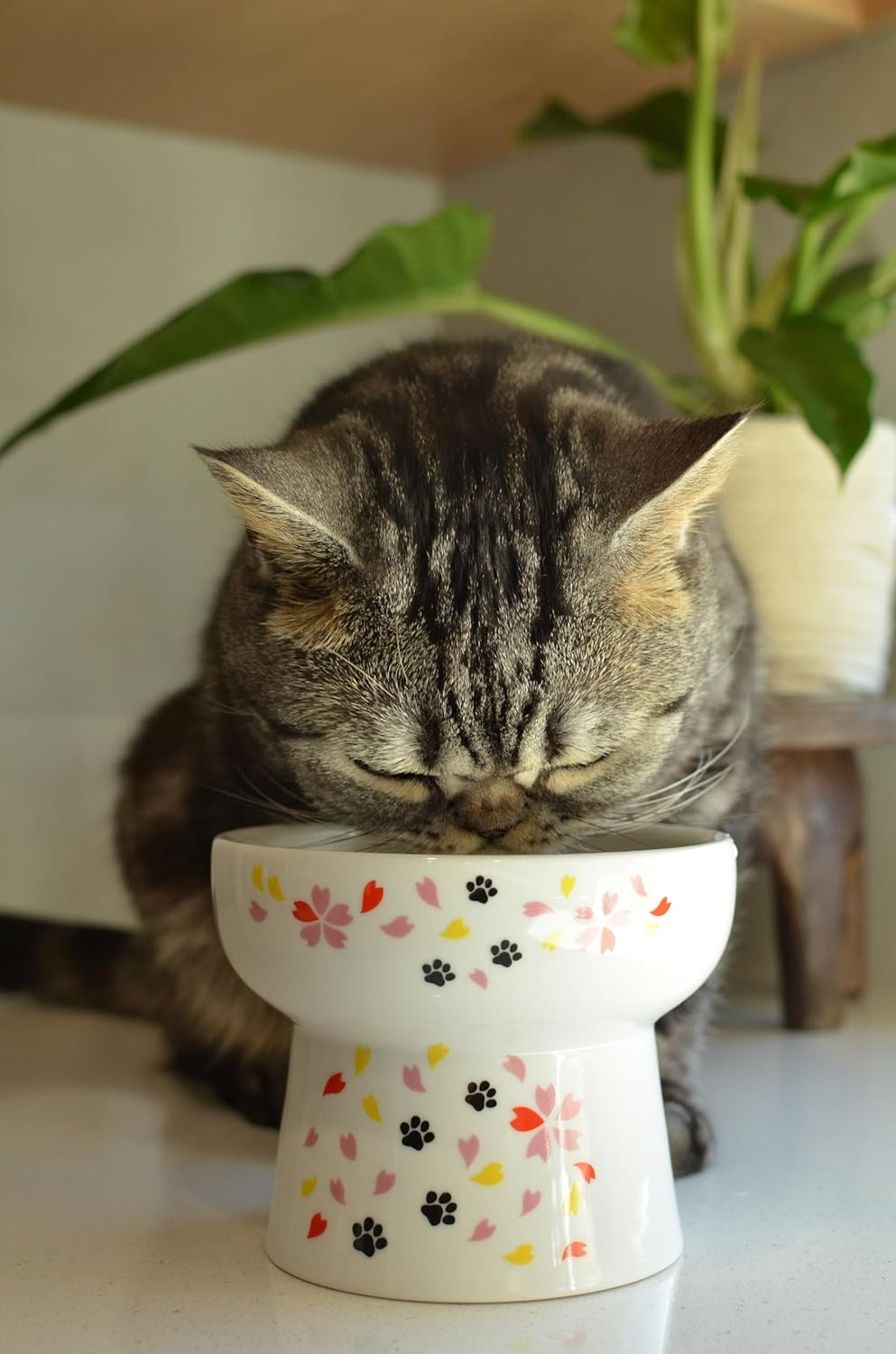 Necoichi Raised Cat Water Bowl, Elevated, with Measurement Lines, Dishwasher and Microwave Safe, No.1 Seller in Japan! image number 2
