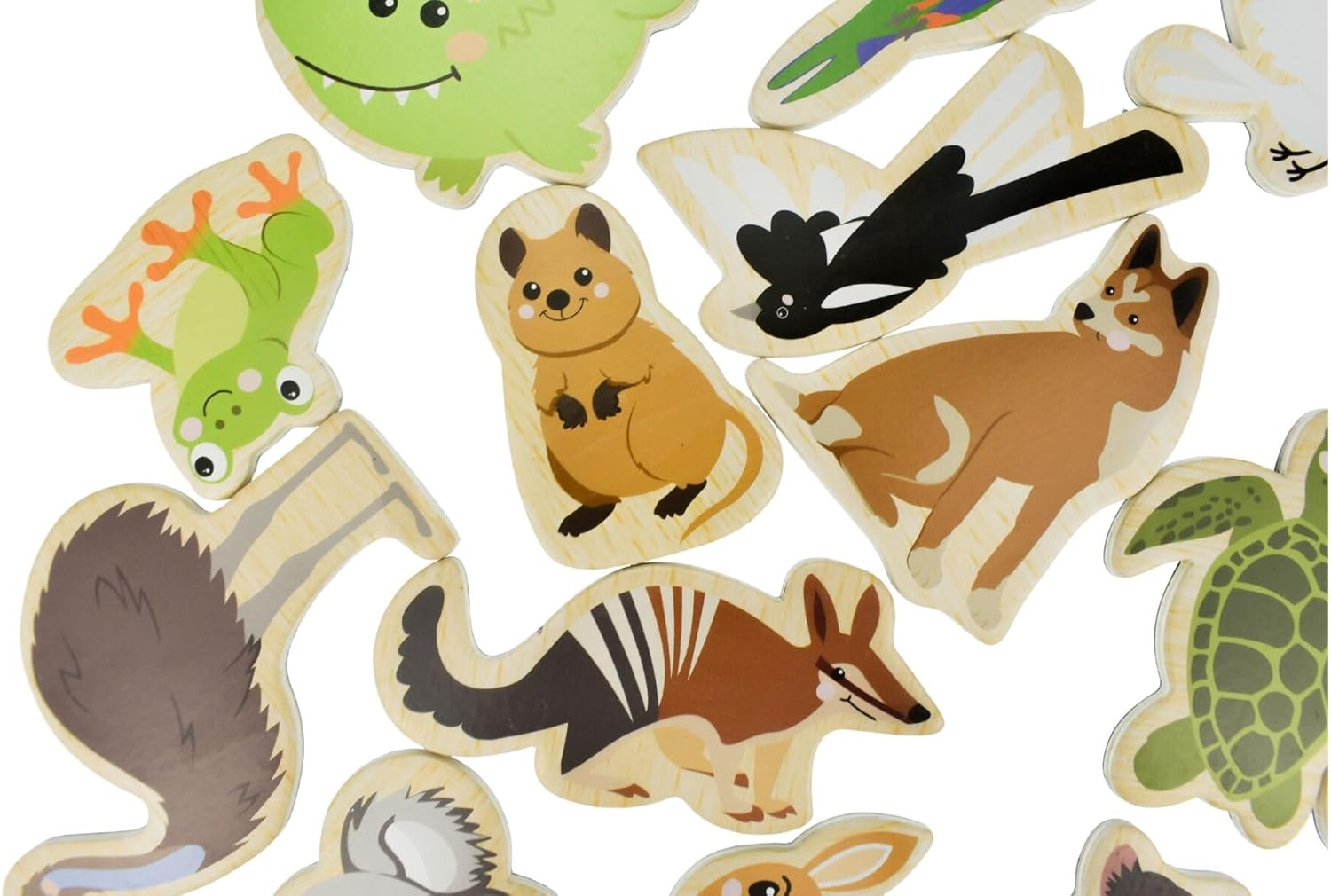 Koala Dream &ndash; Magnetic Australian Animal Fridge Magnets &ndash; 24 Piece Educational Set for Kids &ndash; Aussie Wildlife Magnets for Learning & Play image number 4