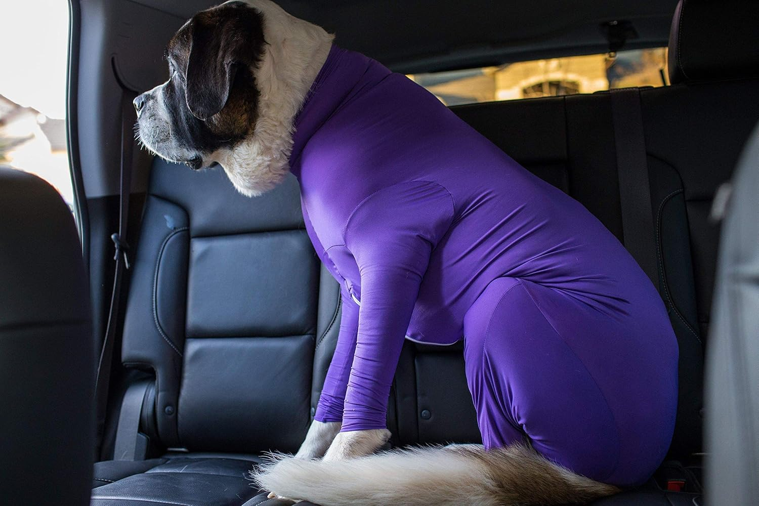 Shed Defender - Dog Onesie/Grooming -Contains the Shedding of Dog Hair, Reduce Anxiety, Replace Medical Cone image number 3